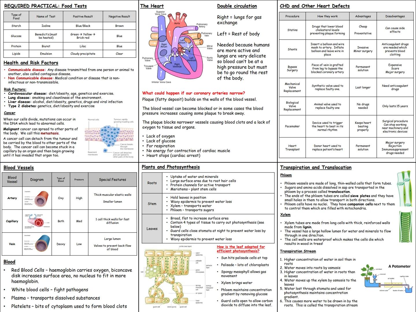 Biology Knowledge Organisers
Unit 1: Cells
Unit 2: Organisation
Unit 3: Infectious Diseases
Unit 4: Bioenergetics
(Photosynthesis and
Respir