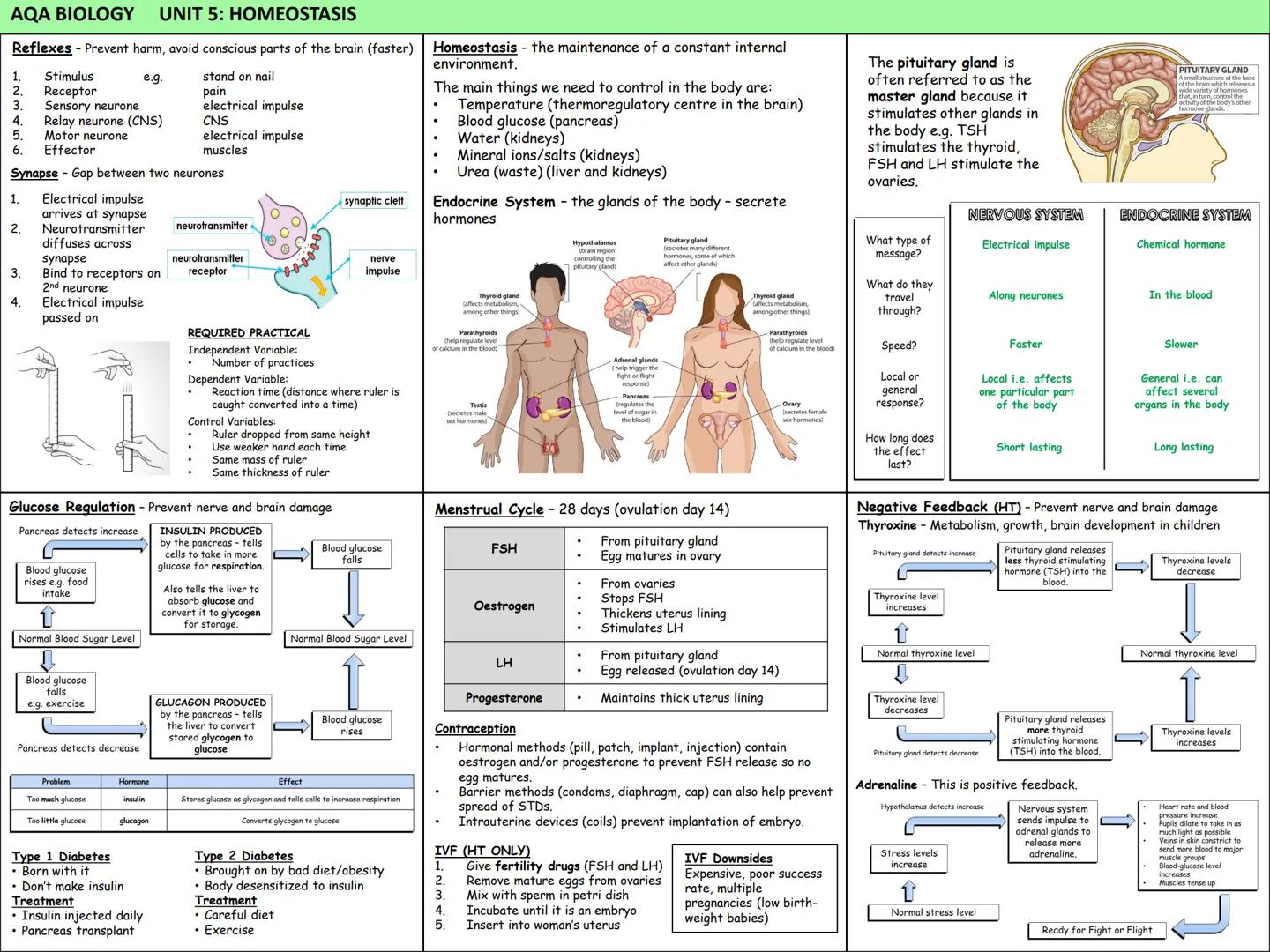 Biology Knowledge Organisers
Unit 1: Cells
Unit 2: Organisation
Unit 3: Infectious Diseases
Unit 4: Bioenergetics
(Photosynthesis and
Respir