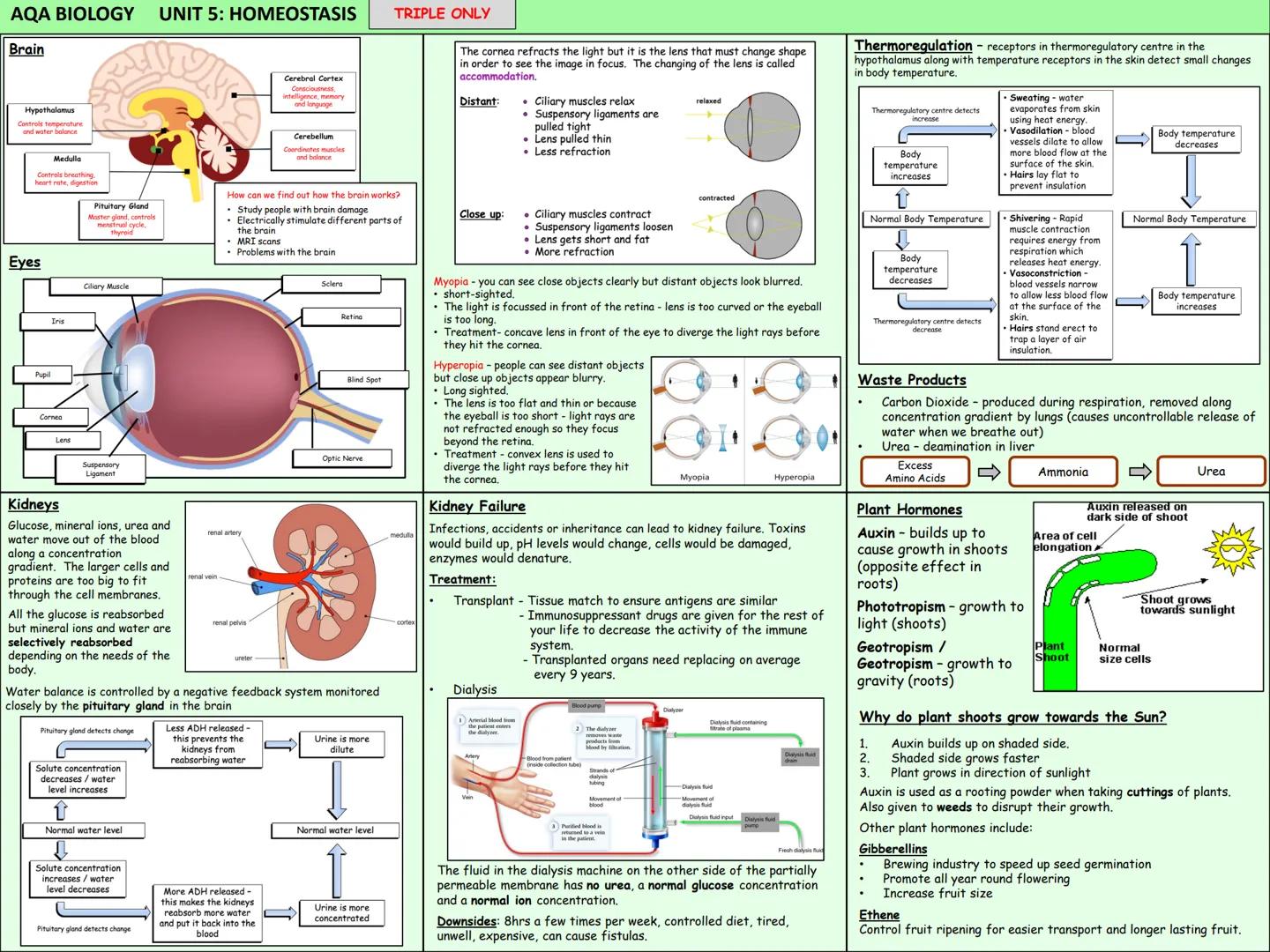 Biology Knowledge Organisers
Unit 1: Cells
Unit 2: Organisation
Unit 3: Infectious Diseases
Unit 4: Bioenergetics
(Photosynthesis and
Respir