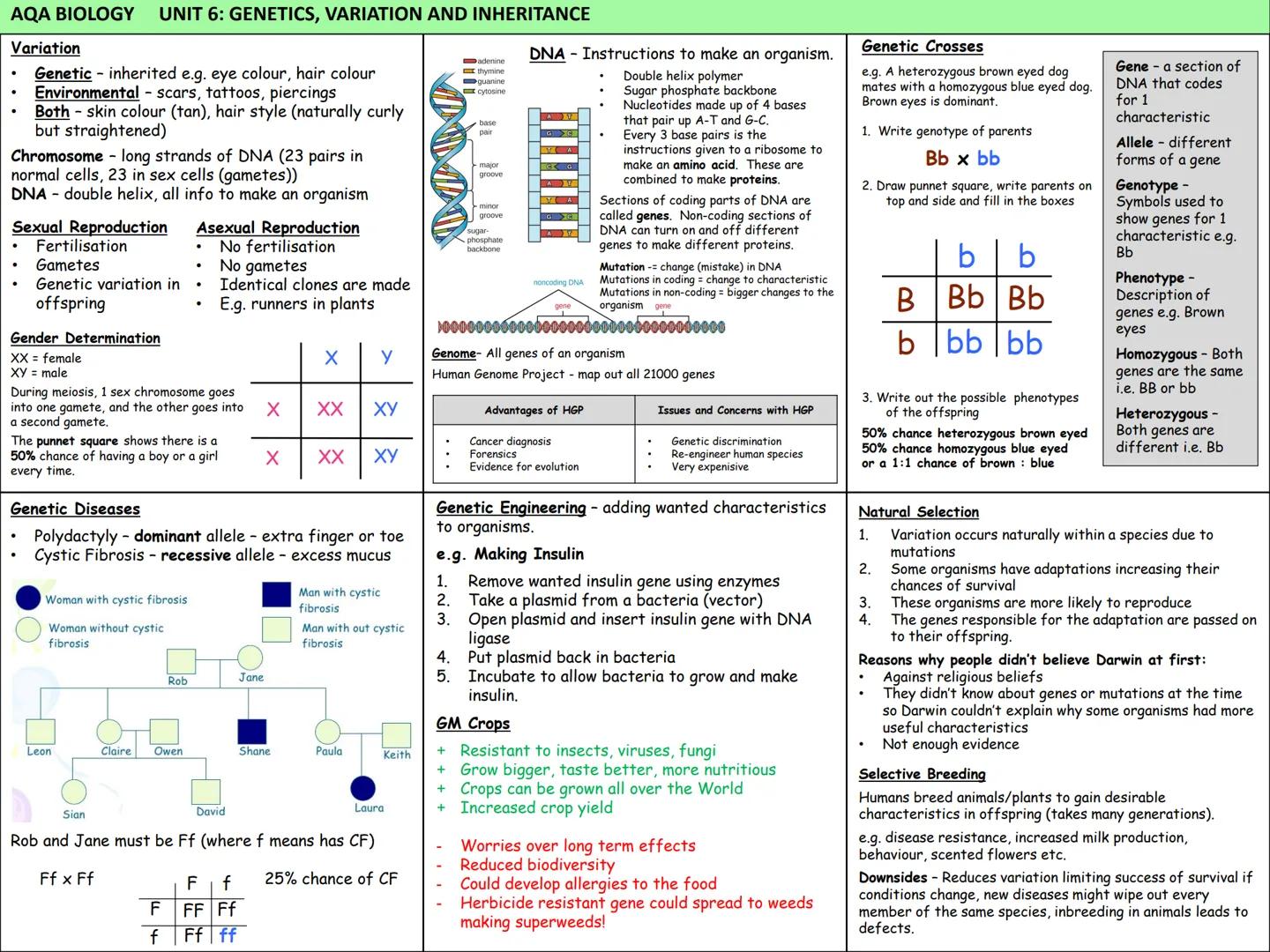 Biology Knowledge Organisers
Unit 1: Cells
Unit 2: Organisation
Unit 3: Infectious Diseases
Unit 4: Bioenergetics
(Photosynthesis and
Respir