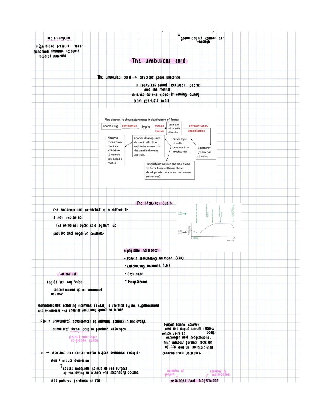 # male reproductive System
Epididymis
secretions are alkaline.
- maintain sperm mobuty
- Provide nutrients for the sperm,
including pucro