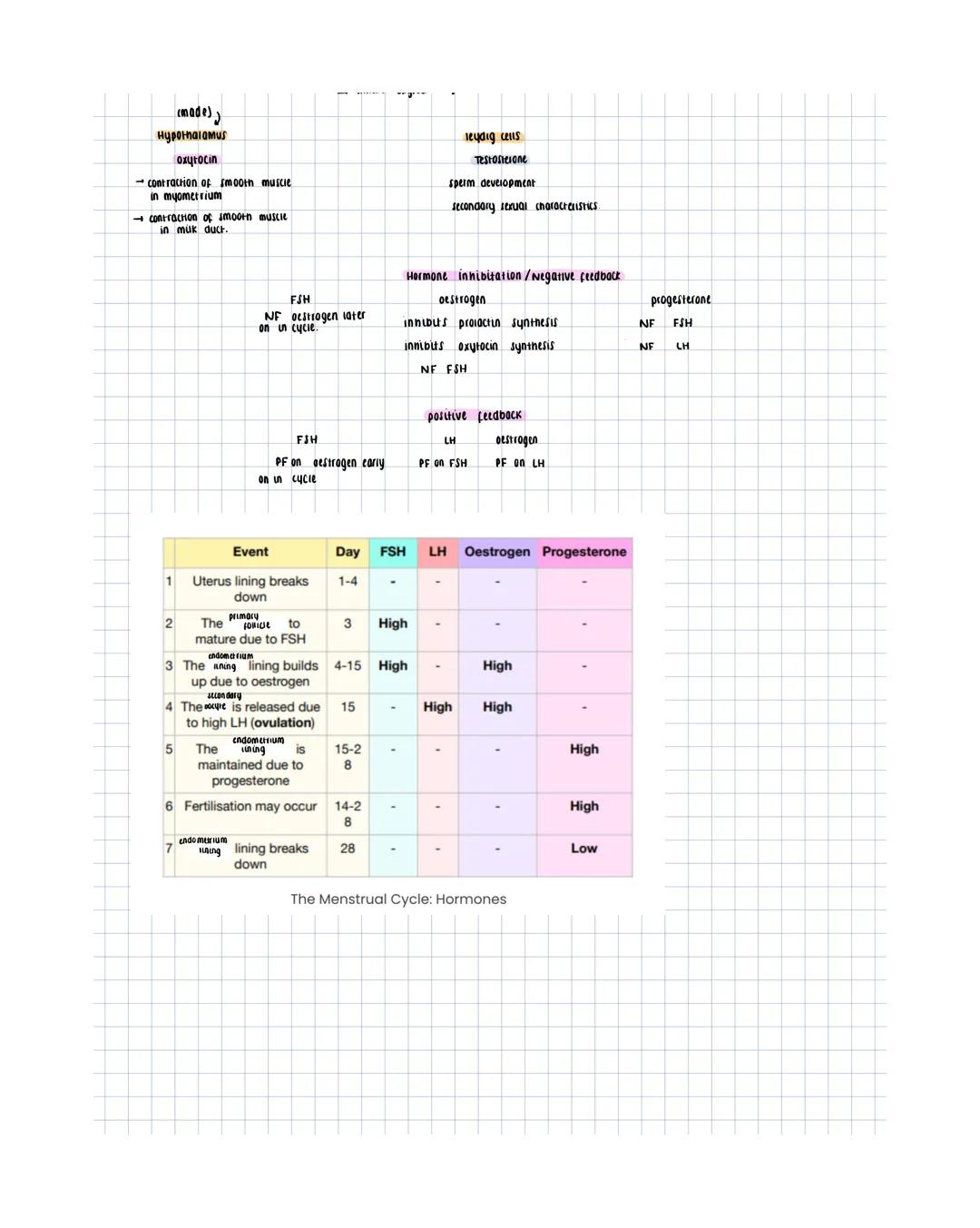 # male reproductive System
Epididymis
secretions are alkaline.
- maintain sperm mobuty
- Provide nutrients for the sperm,
including pucro