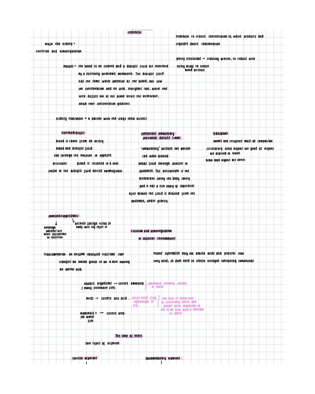 Homeostasis
+
maintain a constant
internal environment
-concentration
PH
Temperature
solute potential
Feedbock 100p
output
inpur
Effector