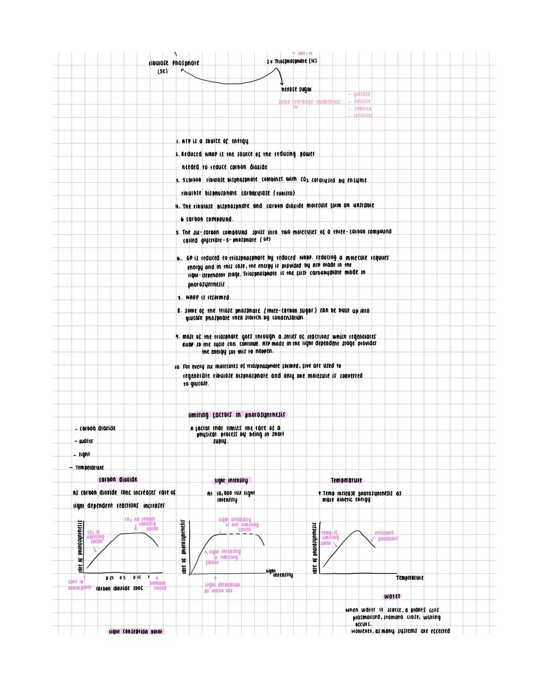 overall equation
600, 6H₂O C6H12O6+ 60₂
light dependent stage
Photosynthesis
2 stages-
converts light
to chemical energy.
1 light-dependent