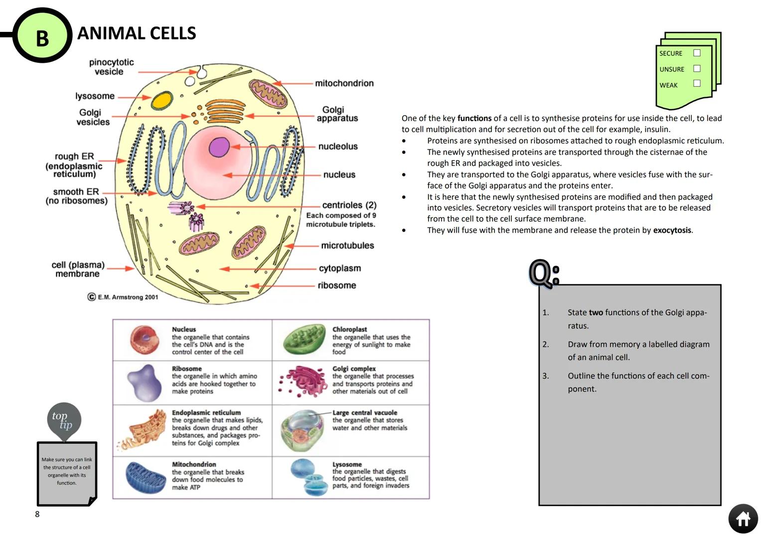 1
BTEC Applied Science
Unit 1 Revision Guide
WEST
DERBY
SIXTH FORM
BTEC
GET
STARTED 2
How to use this guide
EXAM DATE:
Monday 5th June 2016,