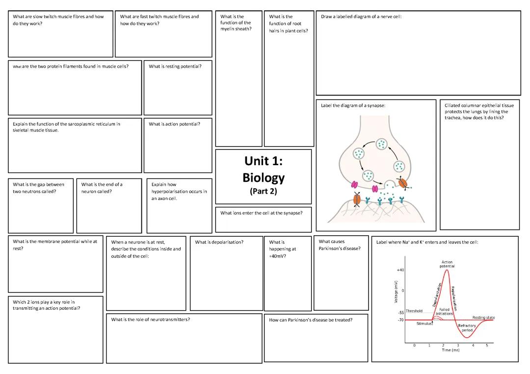 BTEC Applied Science Level 3 MindMaps - Biology