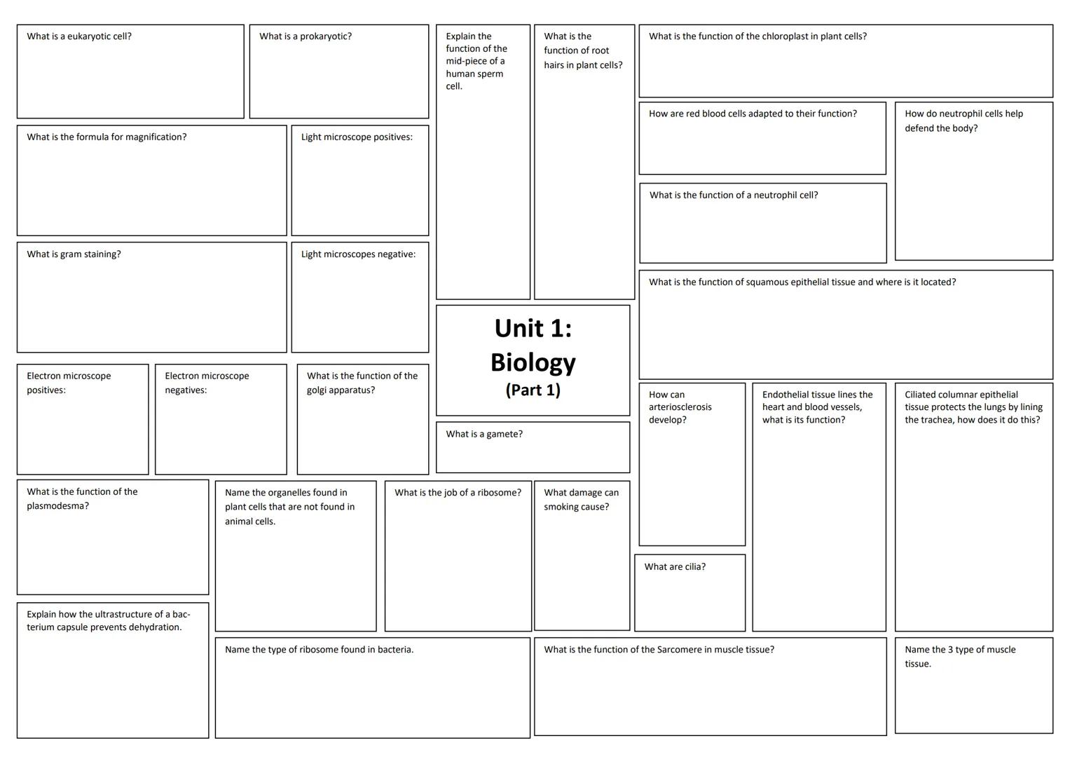 What are slow twitch muscle fibres and how
do they work?
What are fast twitch muscle fibres and
how do they work?
What are the two protein f