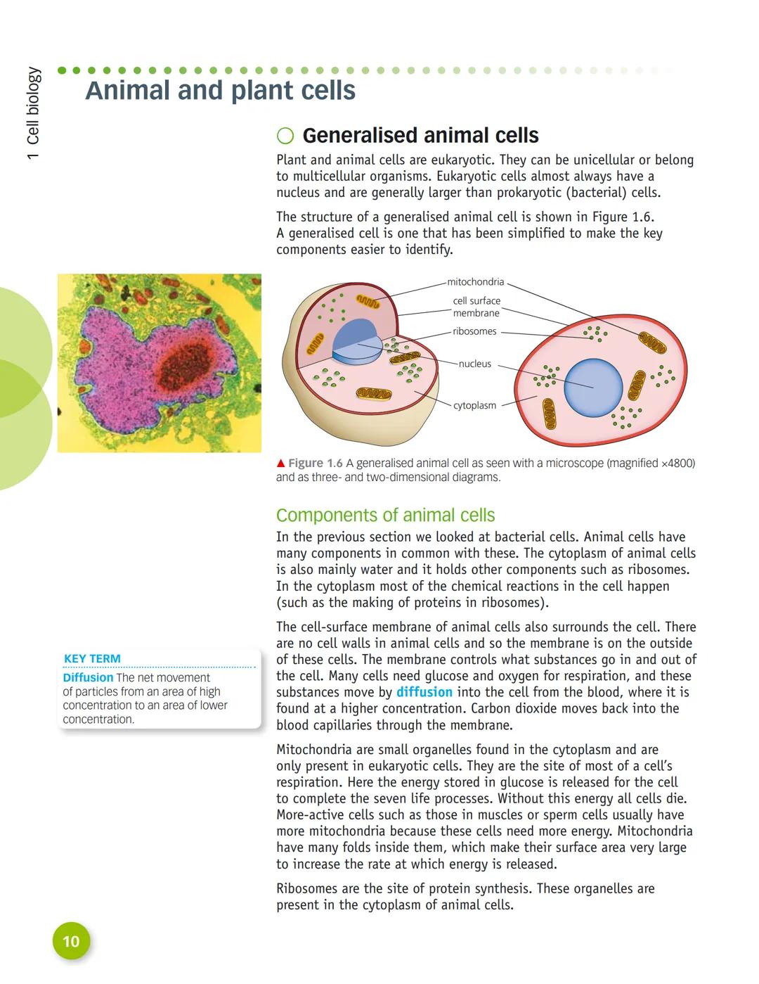 AQA
GCSE
This title has been selected for
AQA's approval process
Biology
Nick Dixon
Ali Hodgson
SAMPLE
CHAPTER
D
DYNAMIC
LEARNING
G
HODDER