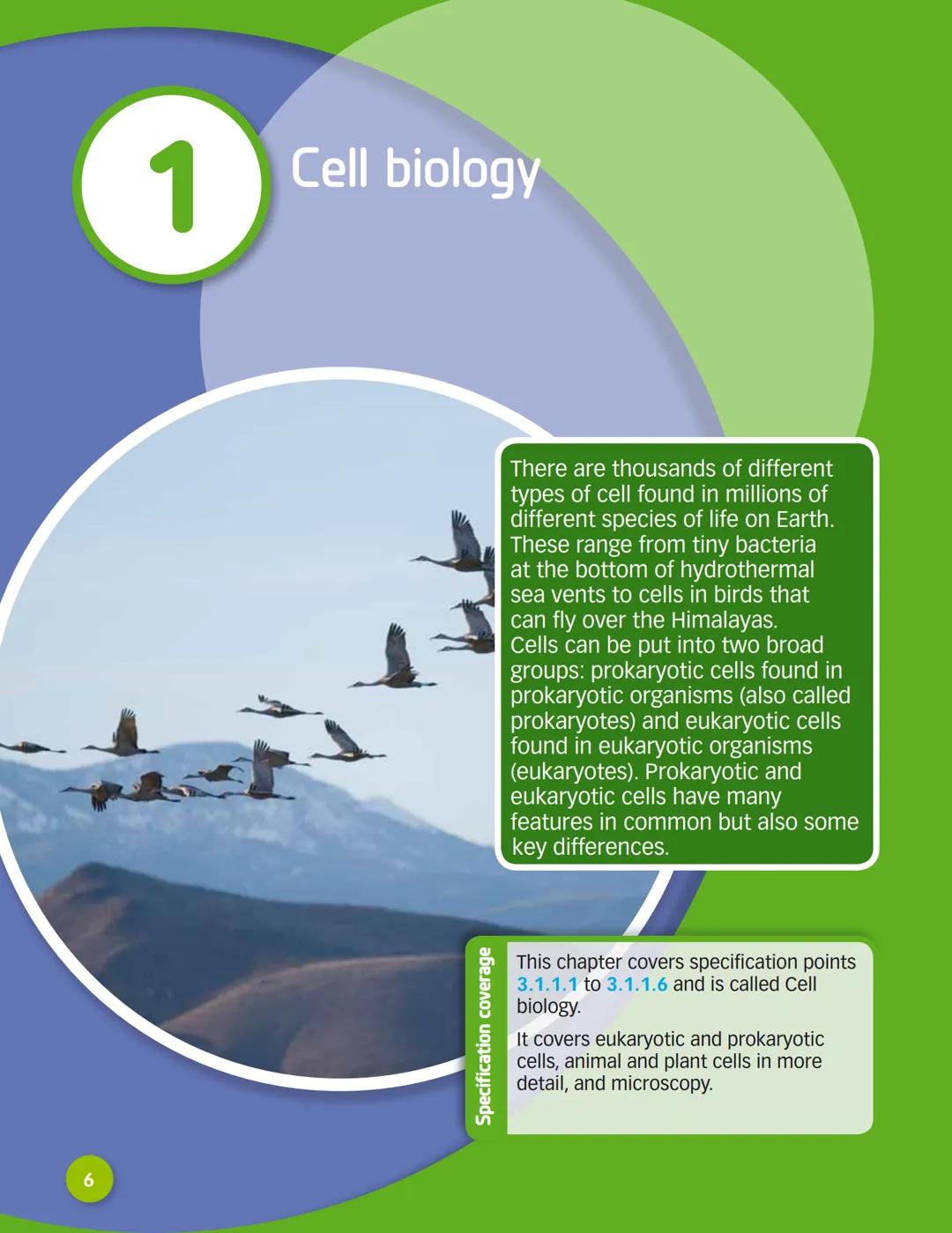 AQA
GCSE
This title has been selected for
AQA's approval process
Biology
Nick Dixon
Ali Hodgson
SAMPLE
CHAPTER
D
DYNAMIC
LEARNING
G
HODDER