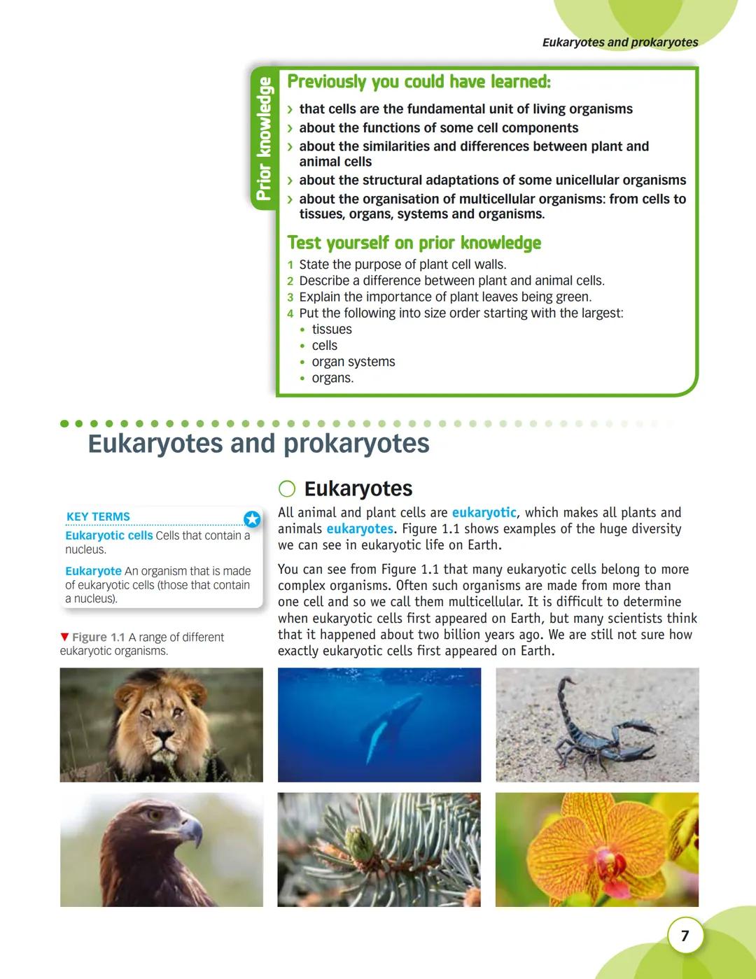 AQA
GCSE
This title has been selected for
AQA's approval process
Biology
Nick Dixon
Ali Hodgson
SAMPLE
CHAPTER
D
DYNAMIC
LEARNING
G
HODDER