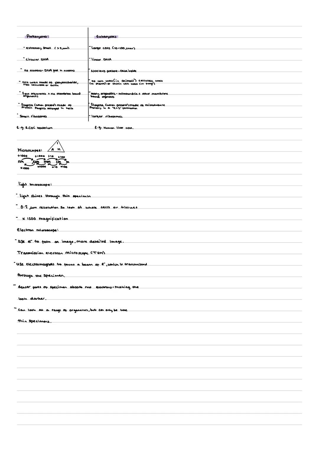 Cell Structure:
Cell surface mevorne: mainly mad made of lipids + proteins - regulates the movement of Substances in/out of the cell, it al