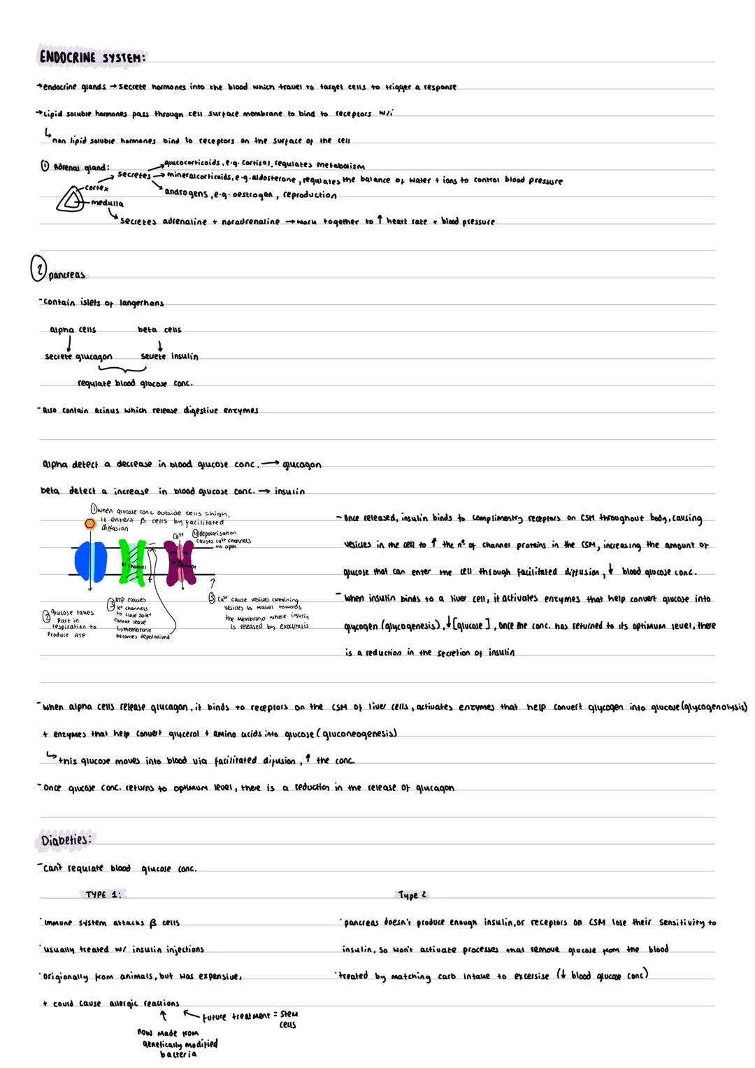 Revision note (see description)