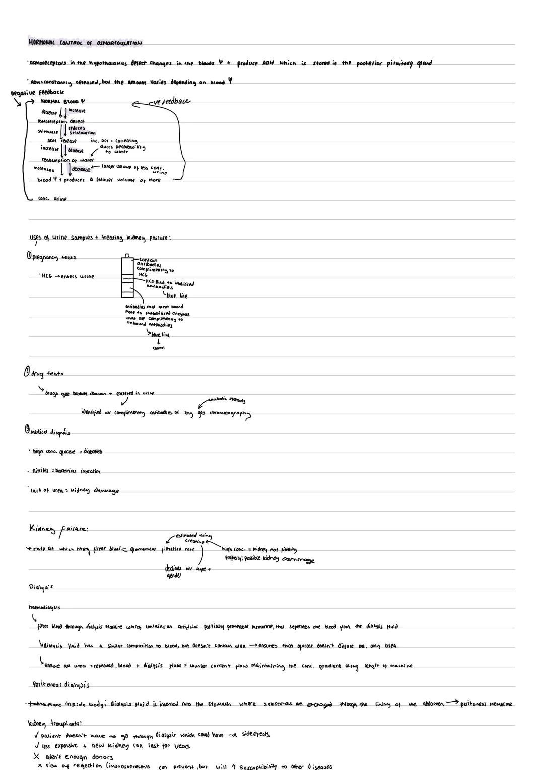 # ENDOCRINE SYSTEM:
*endocrine glands secrete hormones into the blood which travel to target cells to trigger a response
*Lipid soluble ho