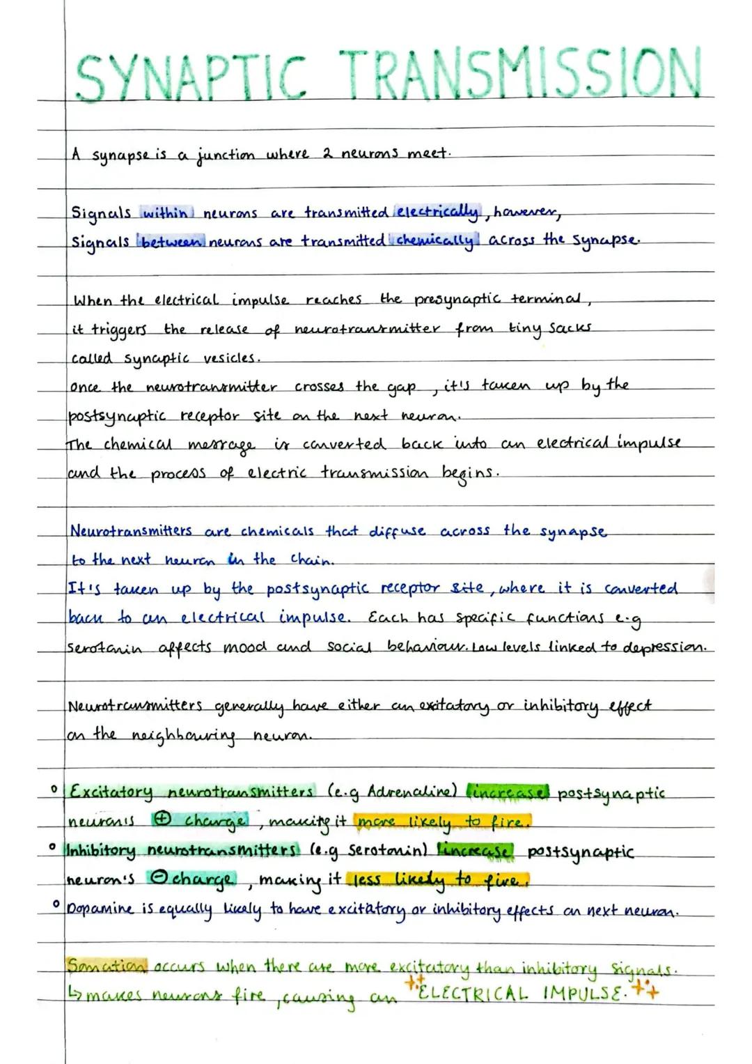 Synaptic transmission