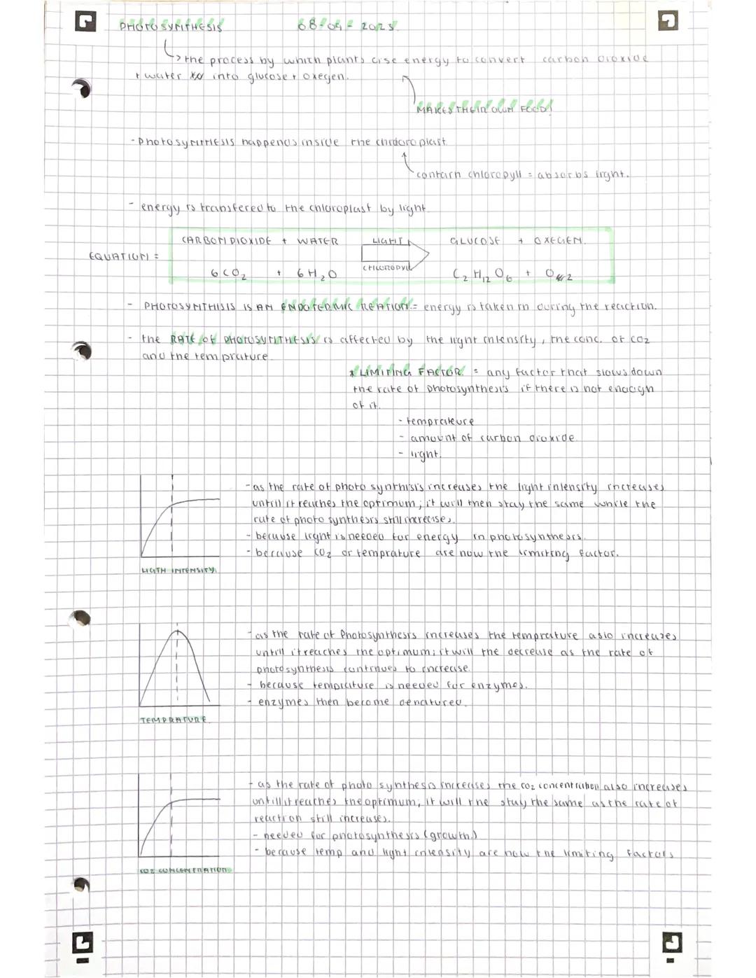 ‘Plant structures and their functions’ notes (B6)