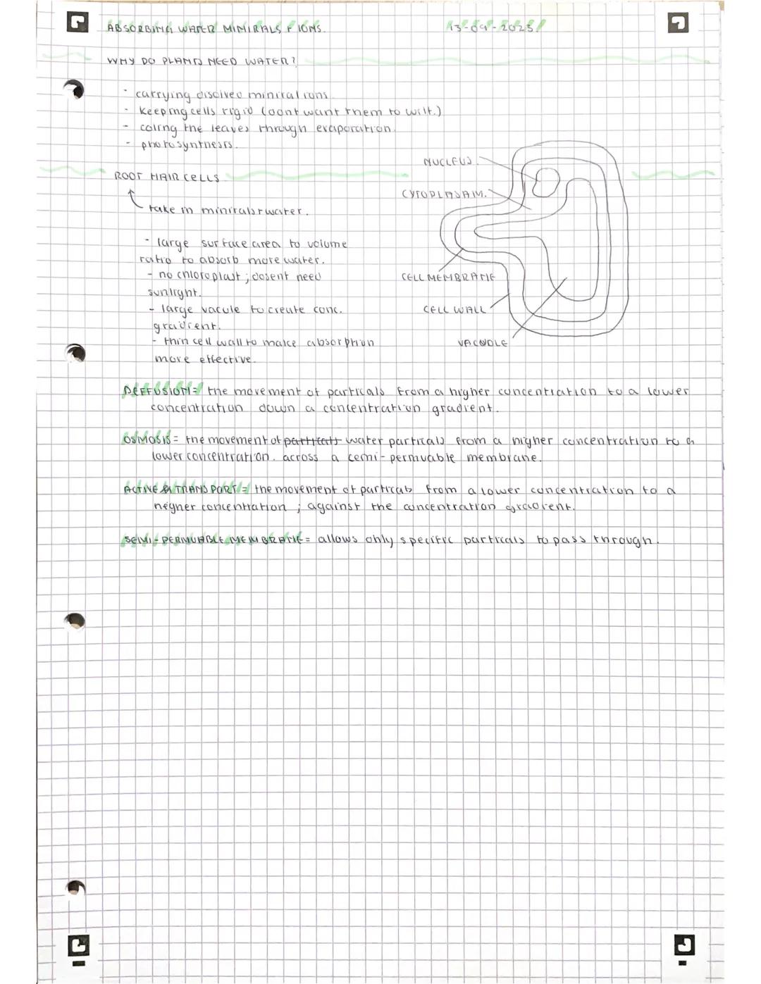 IG
L
◉
PHOTO SYNTHESIS
t
68-09-20123.
-> the process by which plants cise energy to convert
+ water to into glucose + oxegen.
MAKES THEIR OW