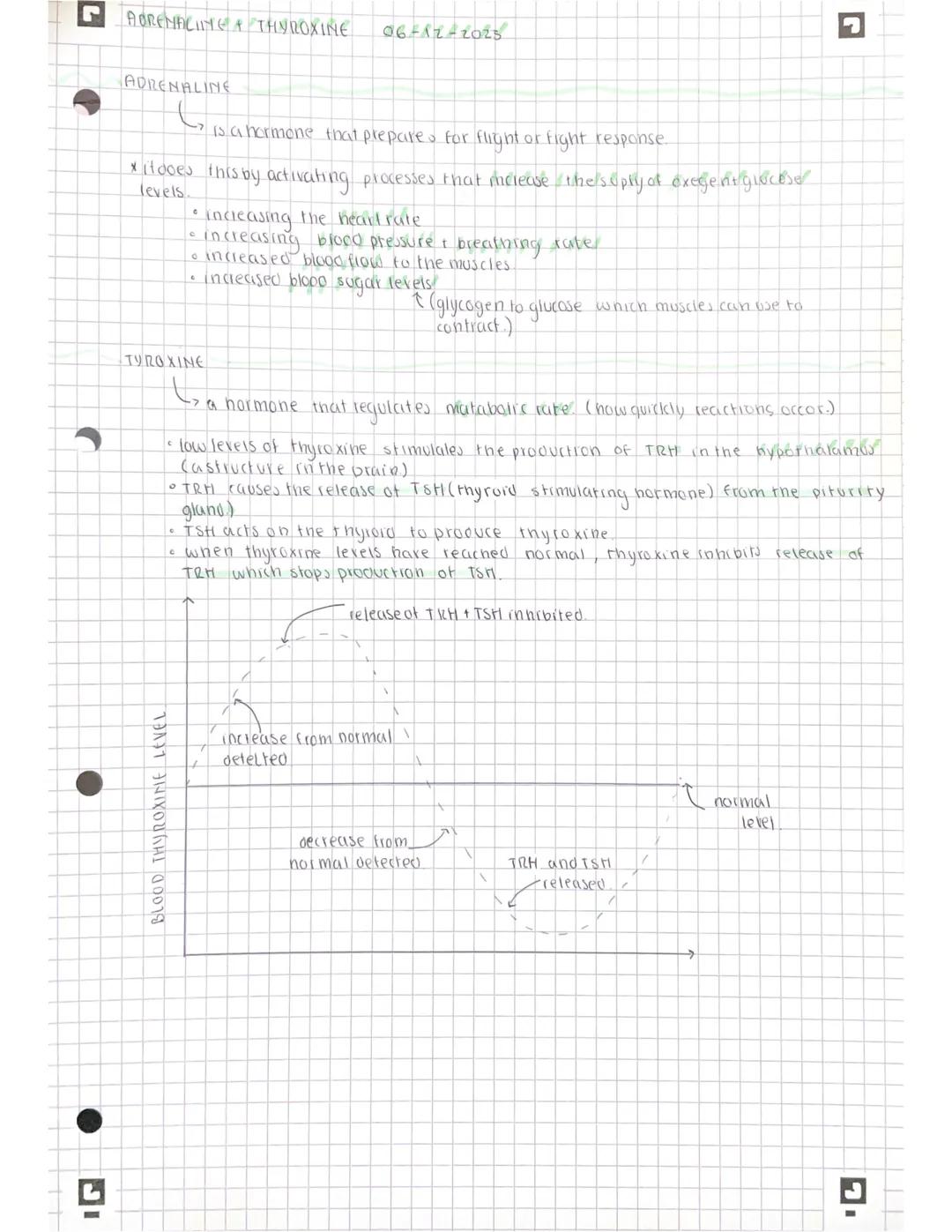 G
HORMONES
28-11-2023
> are chemicals released directly inturne blood; they take really long in
comparison to neurons
- they are released fr