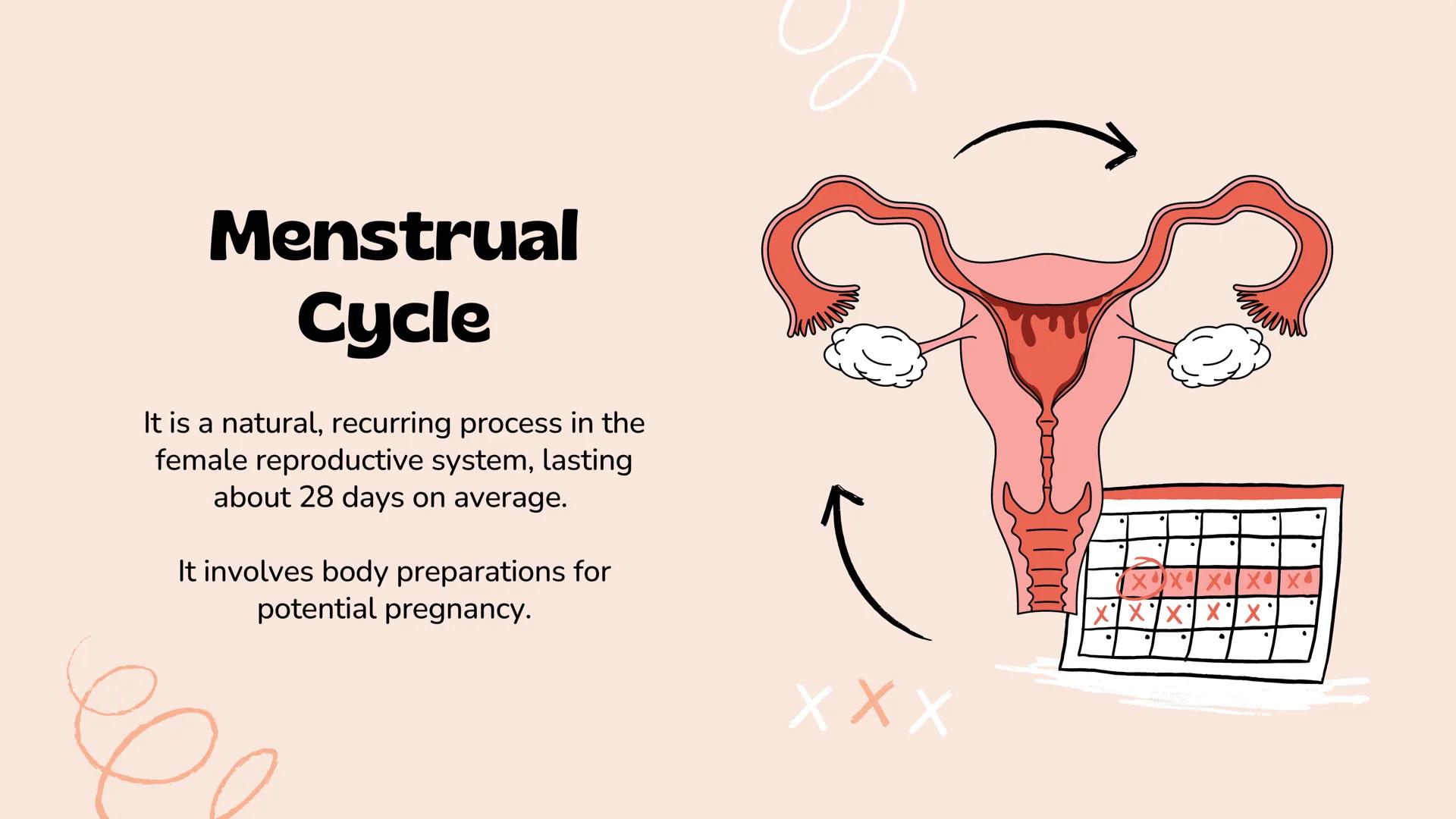*
Understanding Human
Reproduction
The Male and Female Reproductive Systems
Slimy The Human
Reproductive
System
It is a set of organs and st