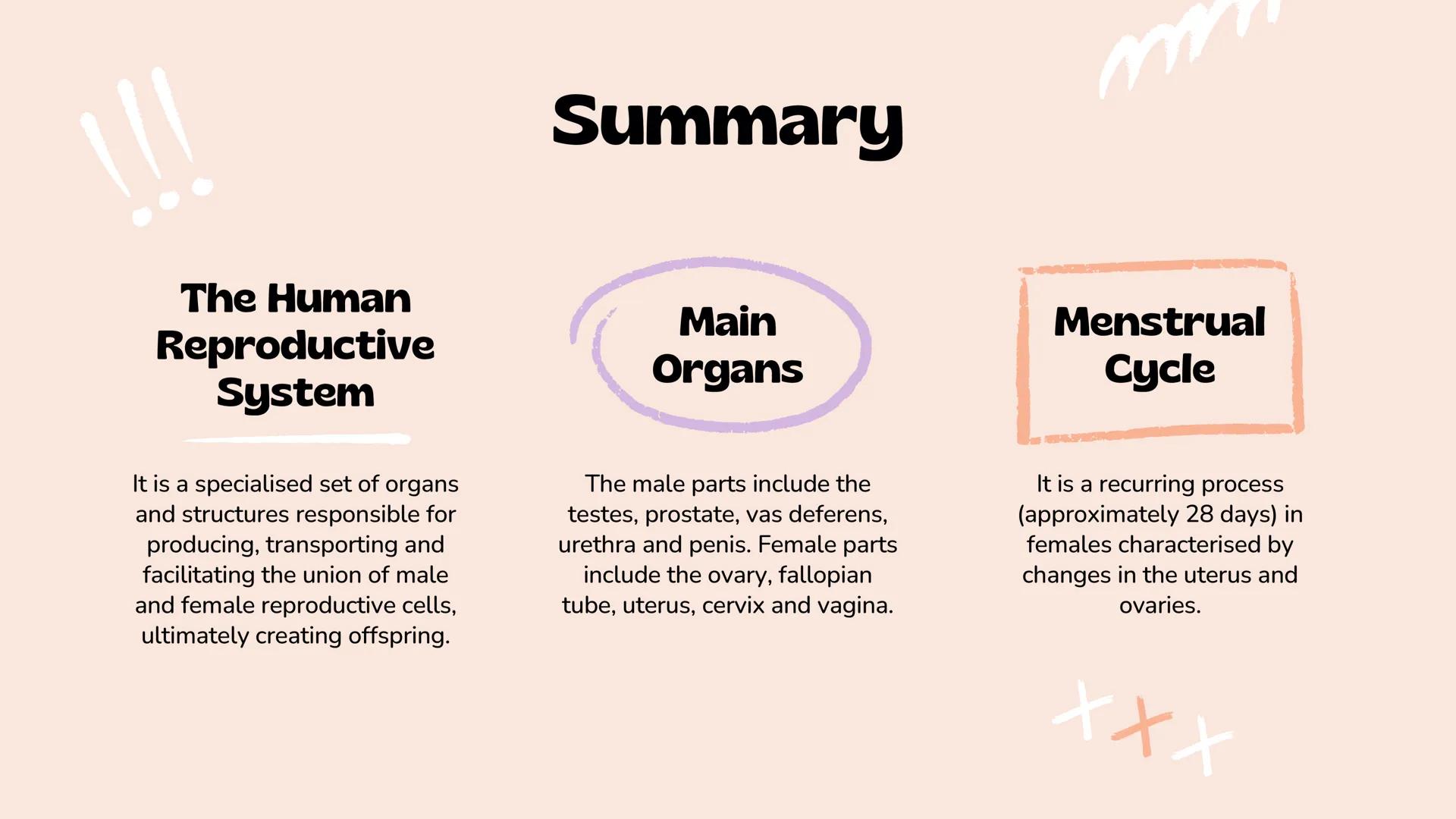 *
Understanding Human
Reproduction
The Male and Female Reproductive Systems
Slimy The Human
Reproductive
System
It is a set of organs and st