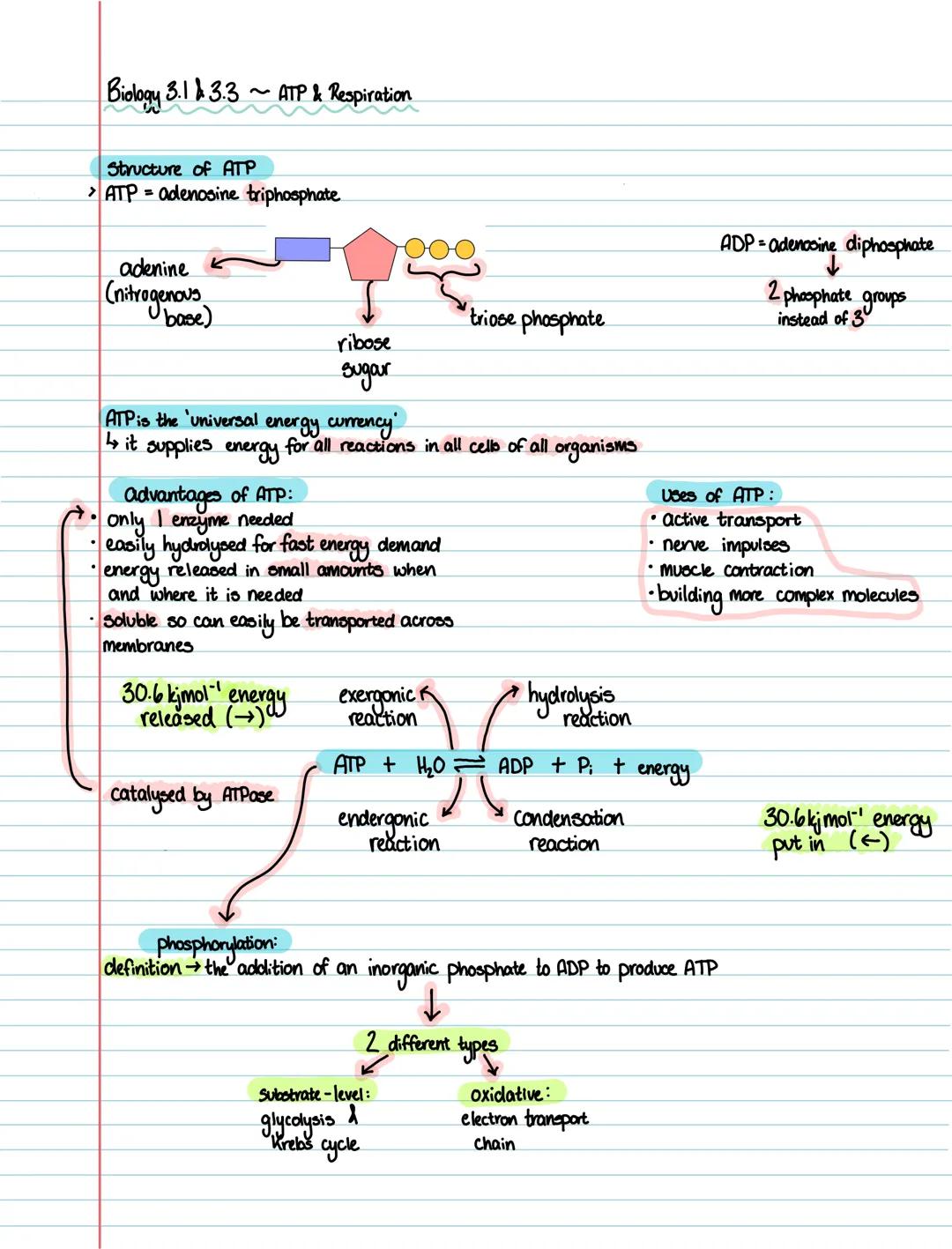 WJEC A Level Biology Unit 3.1 & 3.3 Notes