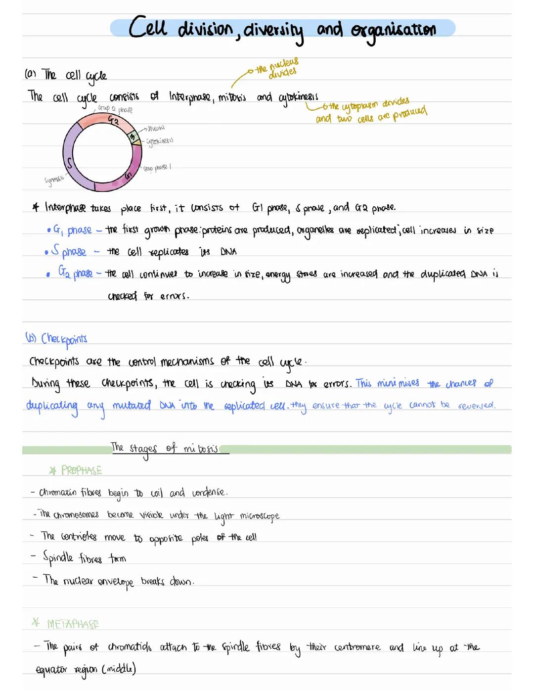 Cell division, diversity and organisation