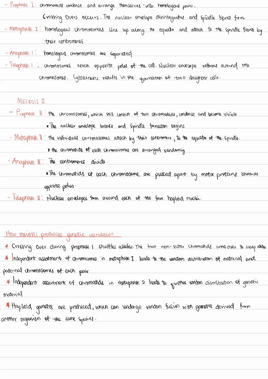 (a) The cell cycle
Cell division, diversity and organisation
the nucleus
divides
The cell cycle consists of Interphase, mitosis and cytokine