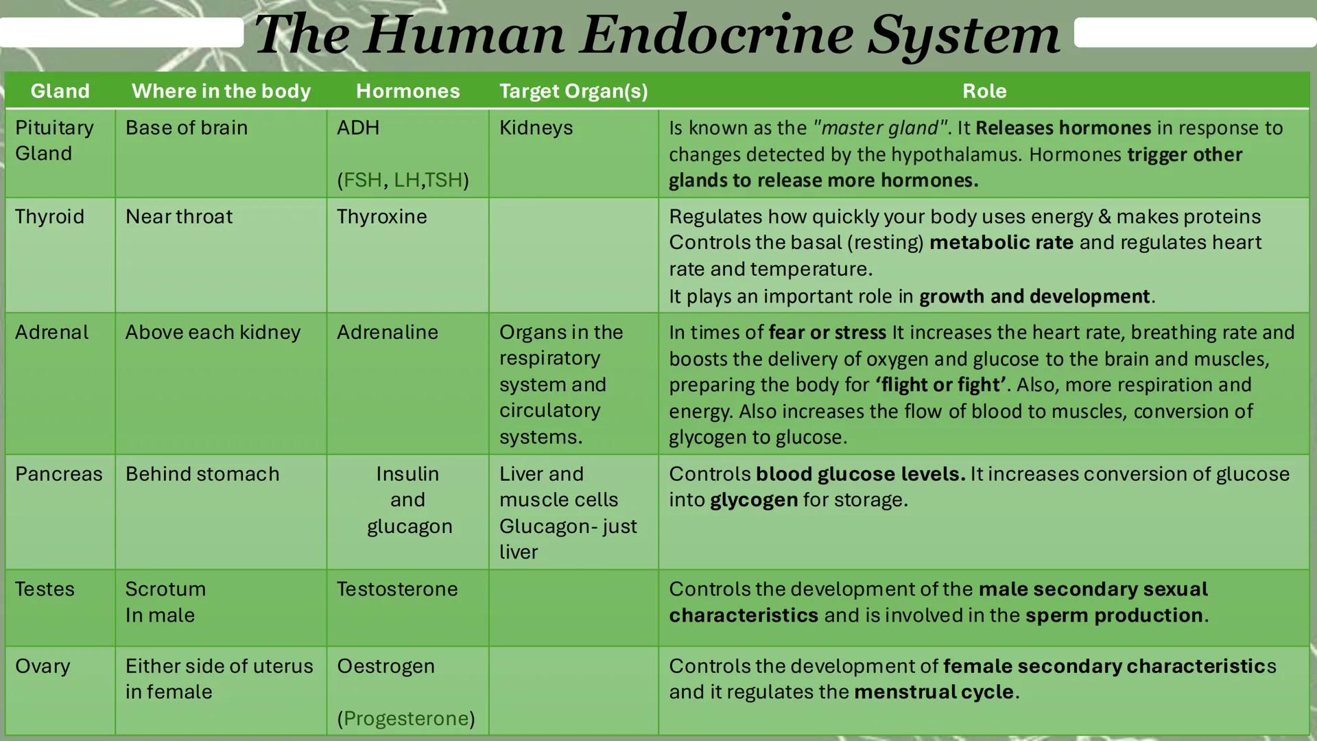 The Human Endocrine System
What is a hormone?
1. Chemical messenger
2. Secreted by a gland into the bloodstream
3. Travels in the blood
4. T