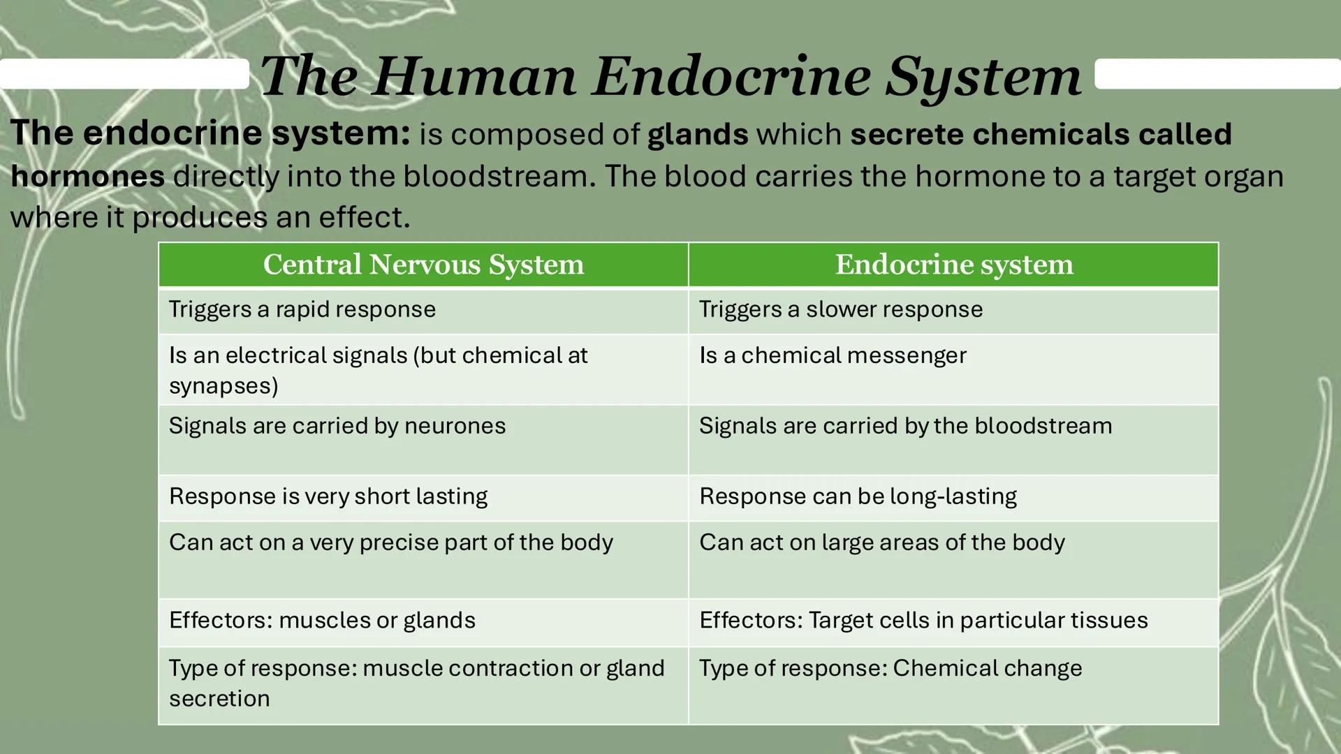The Human Endocrine System
What is a hormone?
1. Chemical messenger
2. Secreted by a gland into the bloodstream
3. Travels in the blood
4. T