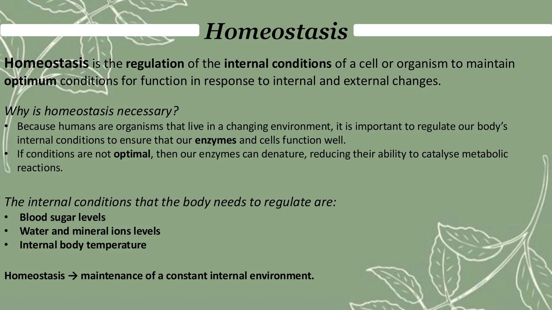 Homeostasis & response
Paper 2 Homeostasis
Homeostasis is the regulation of the internal conditions of a cell or organism to maintain
optimu