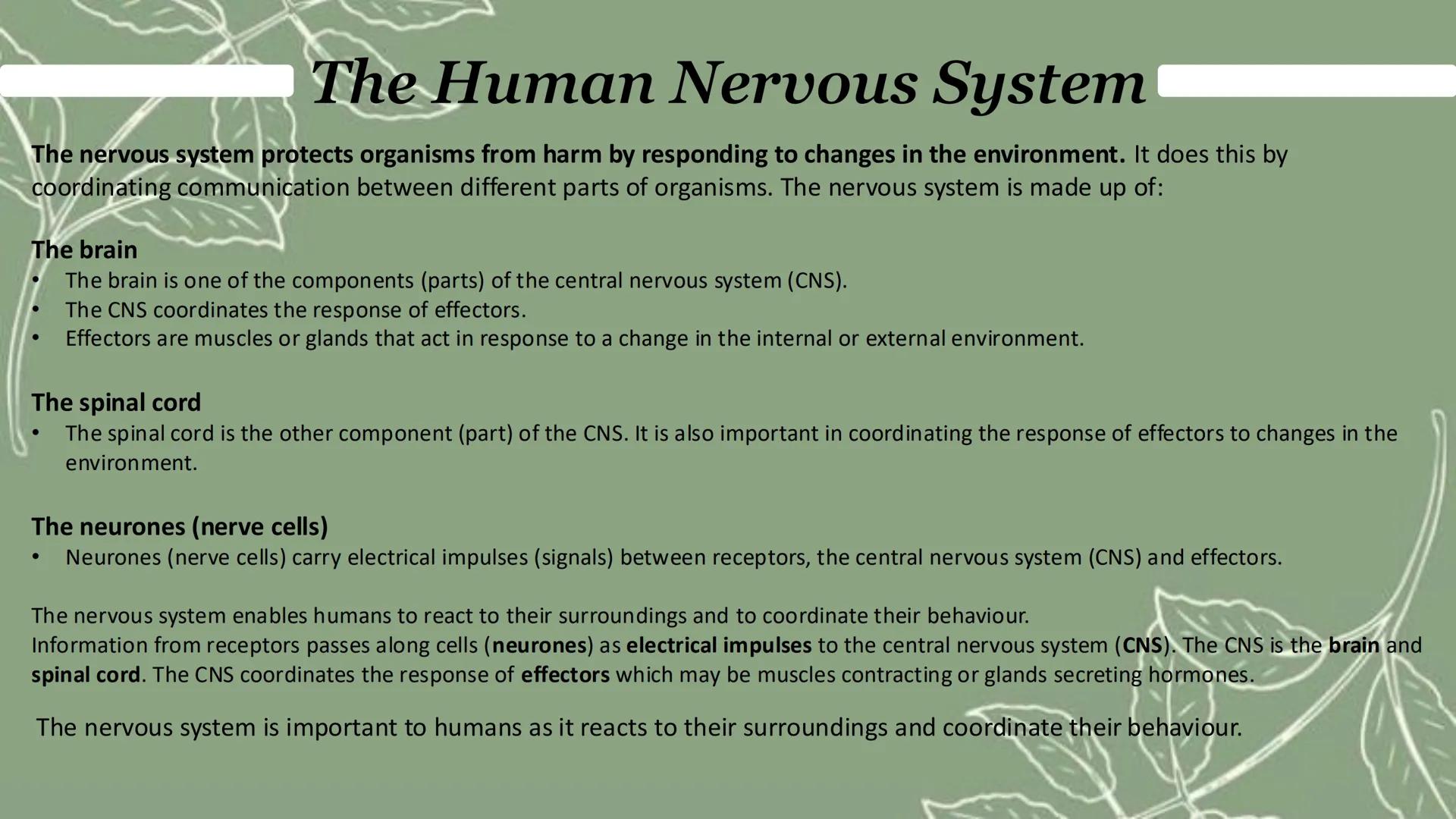Homeostasis & response
Paper 2 Homeostasis
Homeostasis is the regulation of the internal conditions of a cell or organism to maintain
optimu