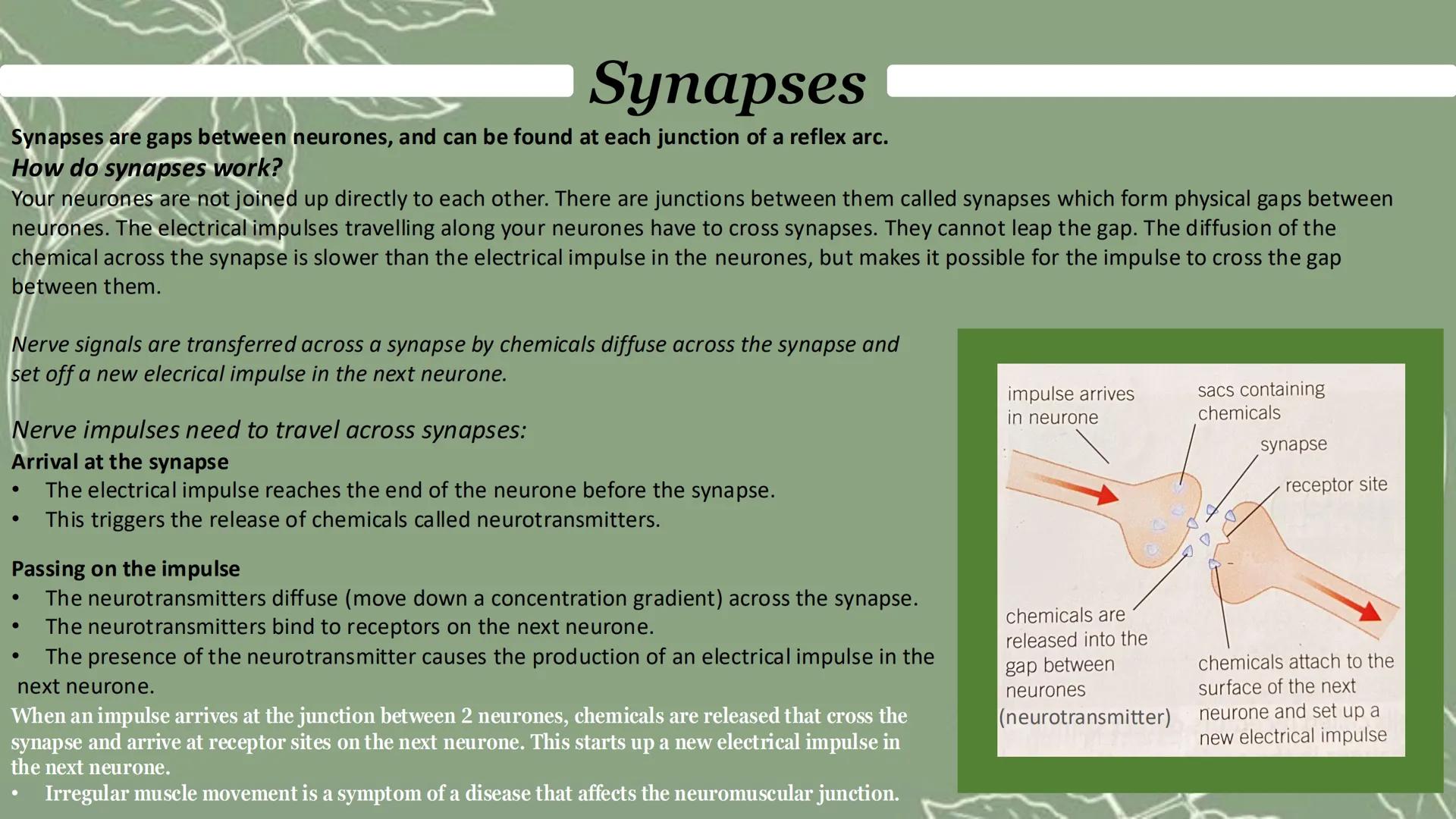 Homeostasis & response
Paper 2 Homeostasis
Homeostasis is the regulation of the internal conditions of a cell or organism to maintain
optimu