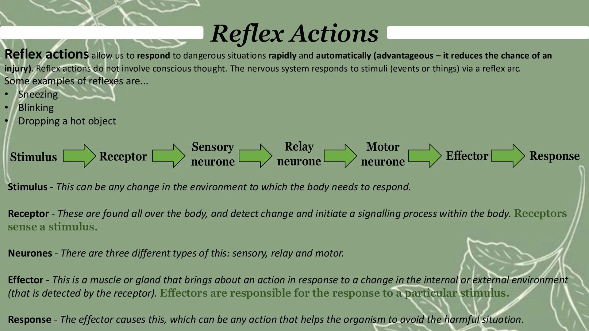 Homeostasis & response
Paper 2 Homeostasis
Homeostasis is the regulation of the internal conditions of a cell or organism to maintain
optimu