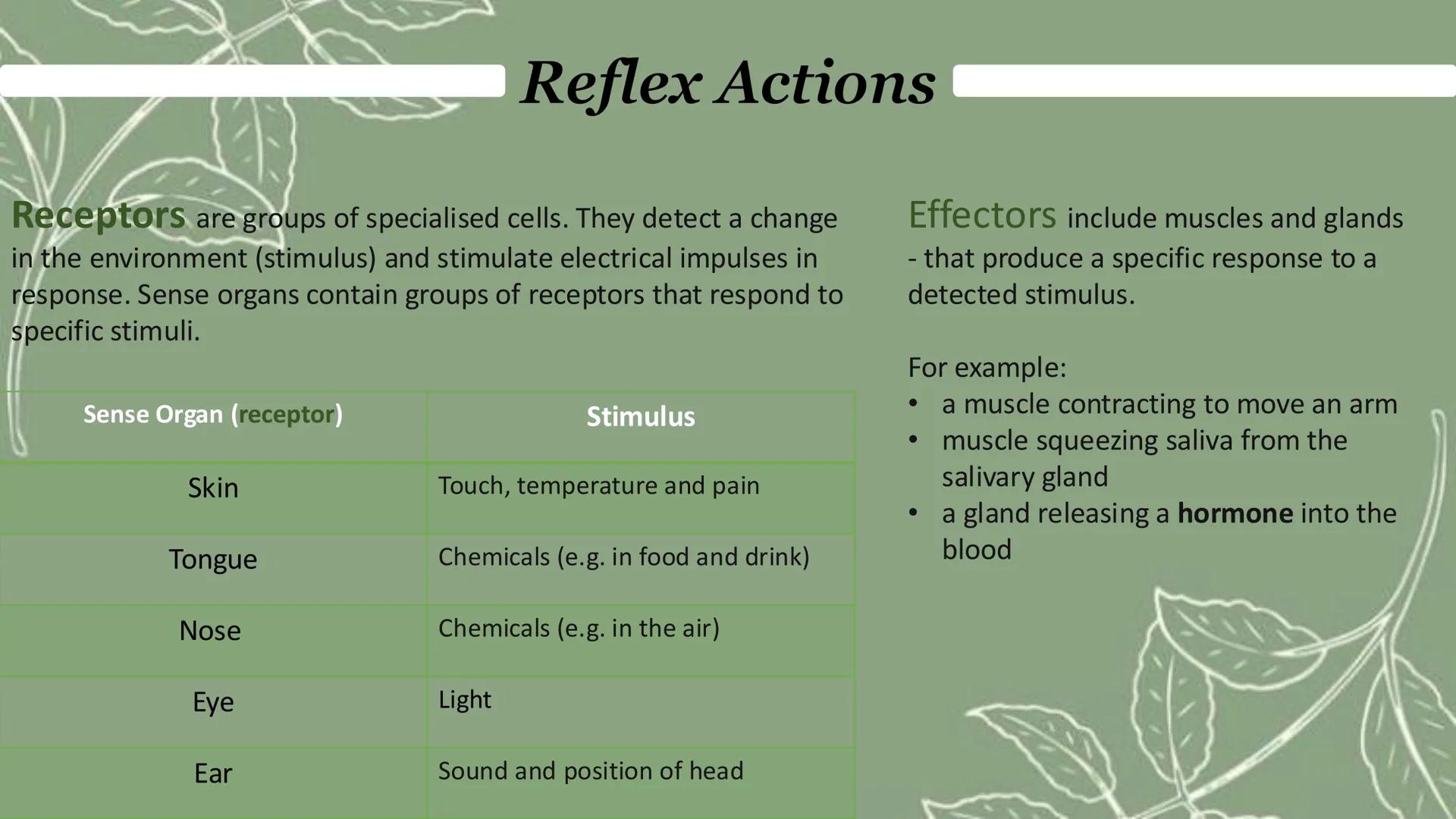 Homeostasis & response
Paper 2 Homeostasis
Homeostasis is the regulation of the internal conditions of a cell or organism to maintain
optimu