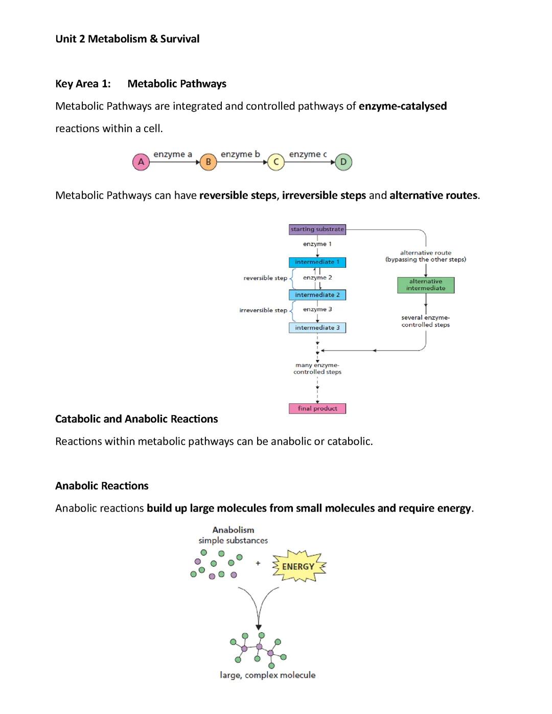 2.1 Metabolic Pathways