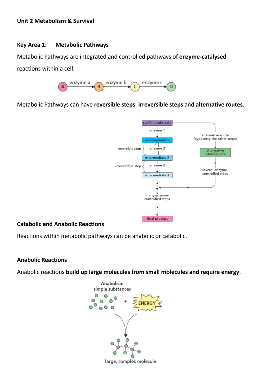 Unit 2 Metabolism & Survival
Key Area 1:
Metabolic Pathways
Metabolic Pathways are integrated and controlled pathways of enzyme-catalysed
re
