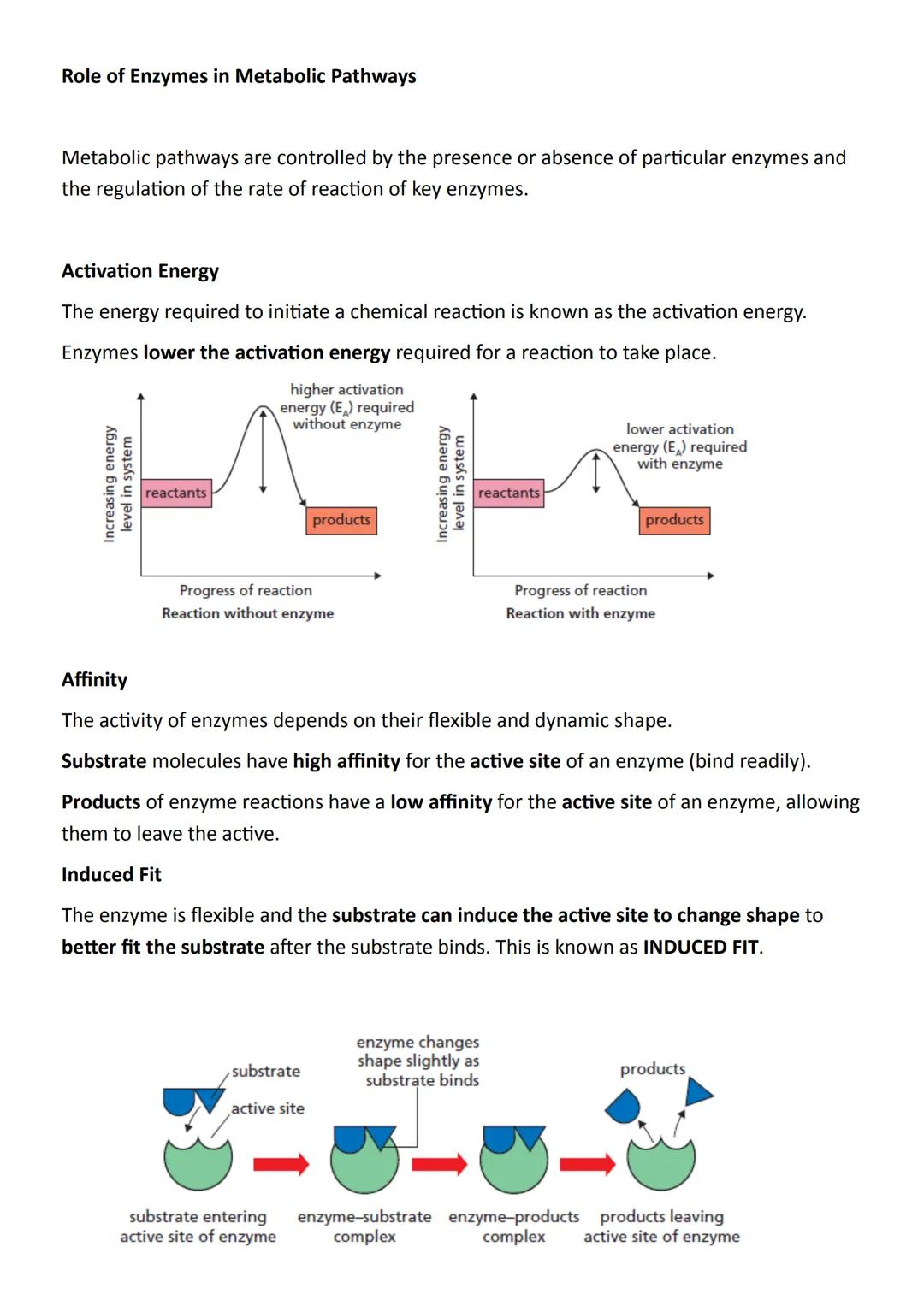 Unit 2 Metabolism & Survival
Key Area 1:
Metabolic Pathways
Metabolic Pathways are integrated and controlled pathways of enzyme-catalysed
re