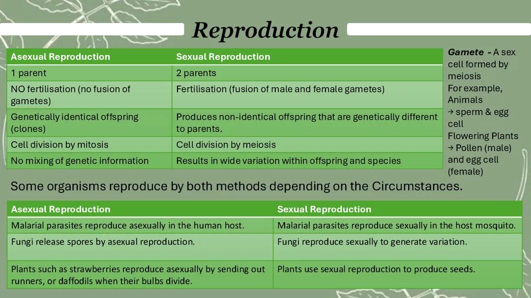 Asexual and sexual reproduction