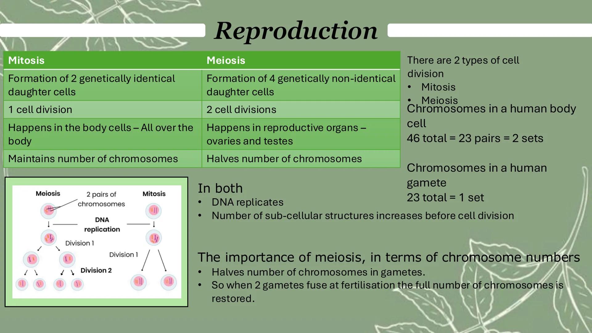 Reproduction
Mitosis
Formation of 2 genetically identical
daughter cells
1 cell division
Happens in the body cells - All over the
body
Maint