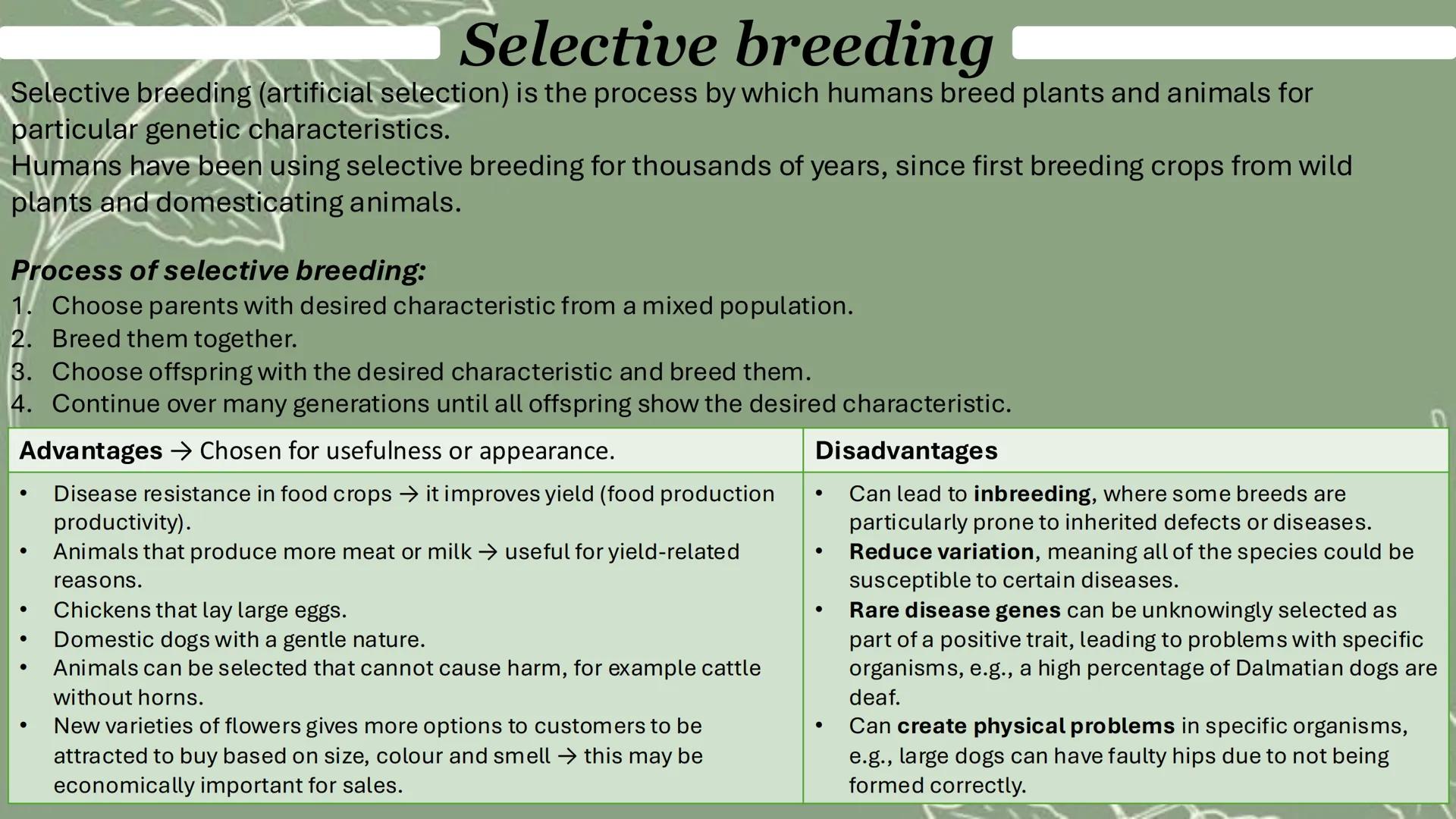 Selective breeding
Selective breeding (artificial selection) is the process by which humans breed plants and animals for
particular genetic