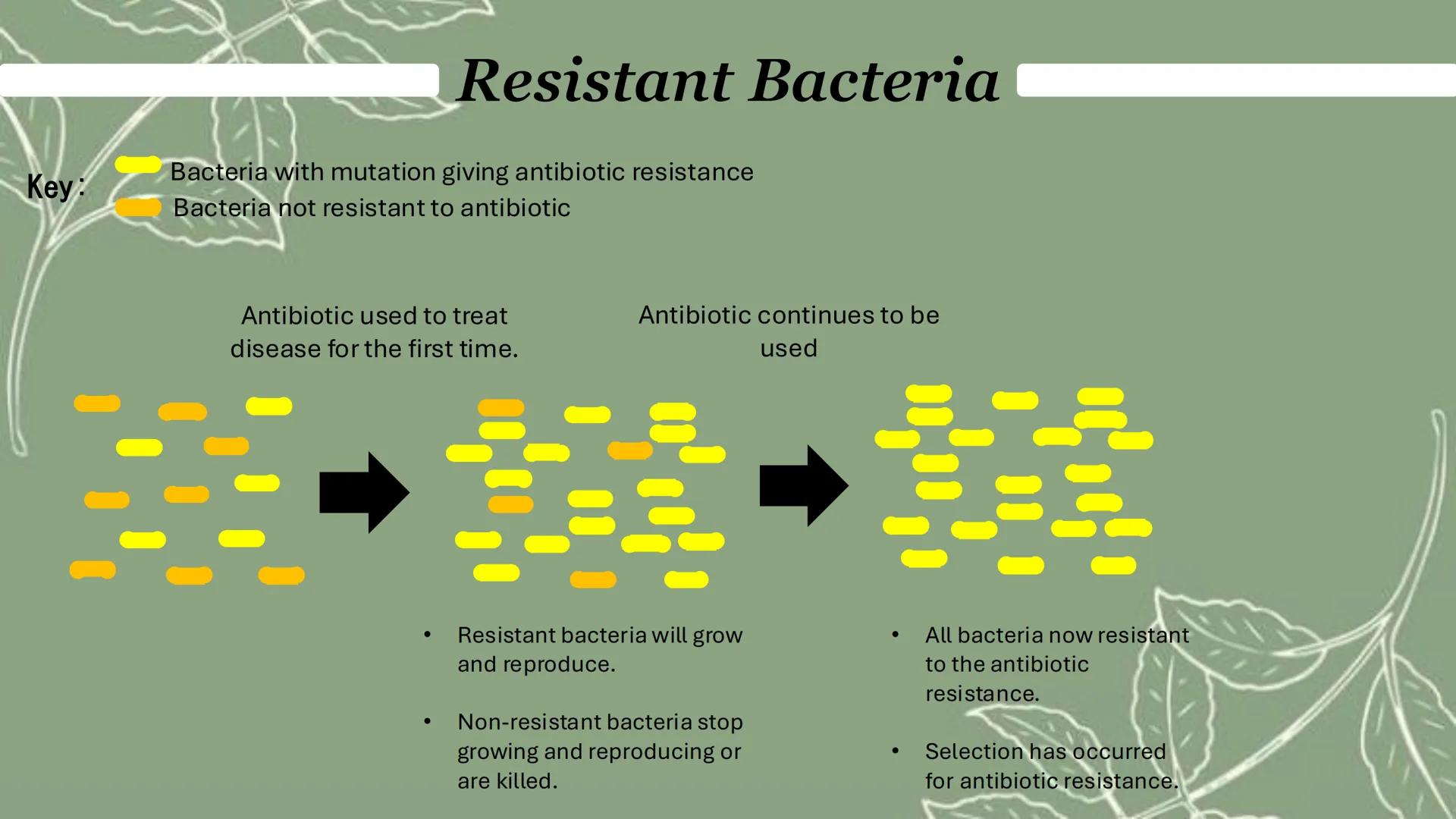 # Evidence of evolution
The Theory of evolution by natural selection is now widely accepted because there are lots
of data to support it, s