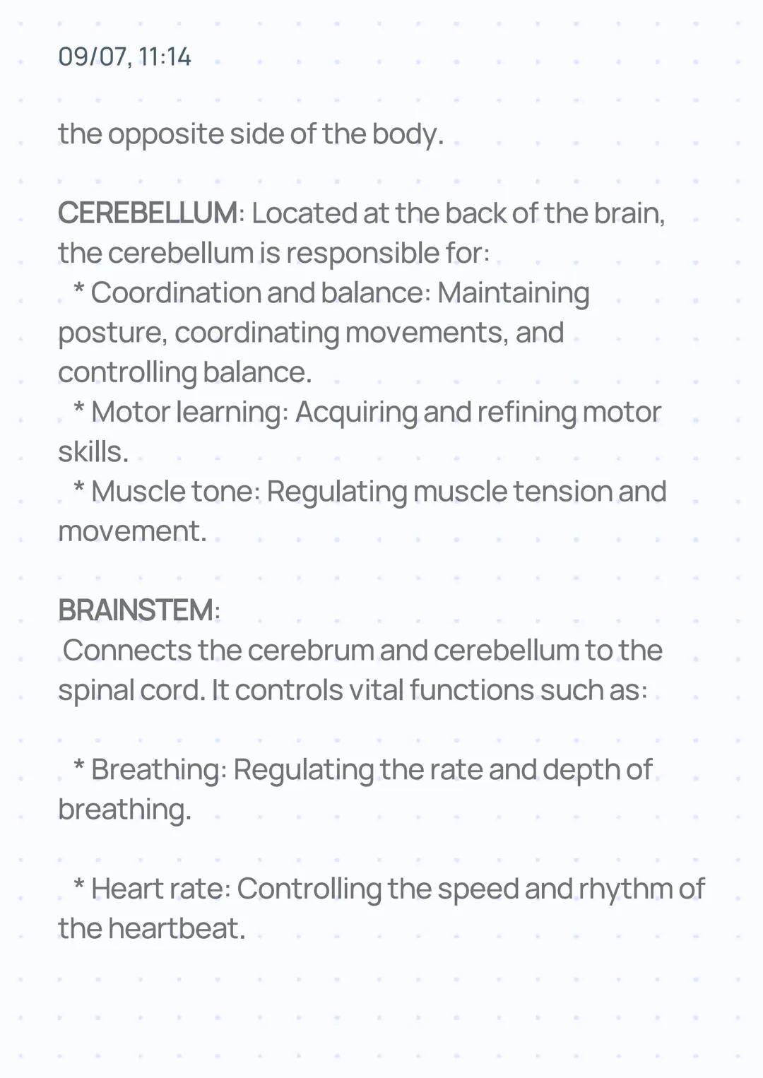 09/07, 11:14
# THE BRAIN
The brain, the most complex organ in the human
body, is the control center for our thoughts,
feelings, and action