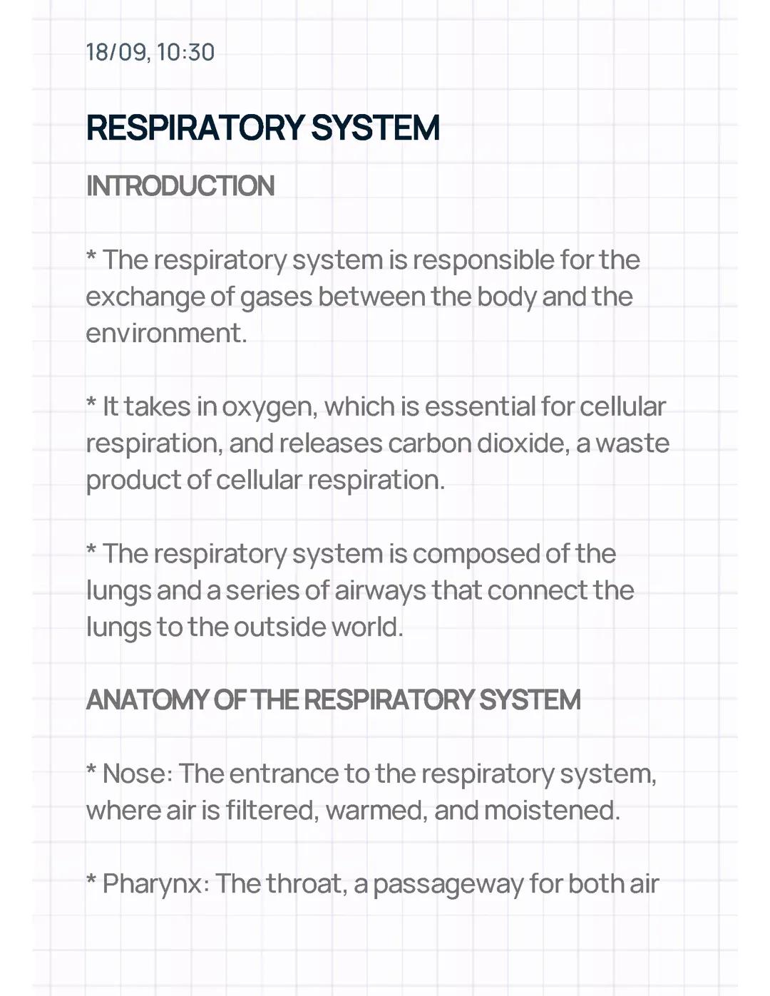 Understanding the Respiratory System