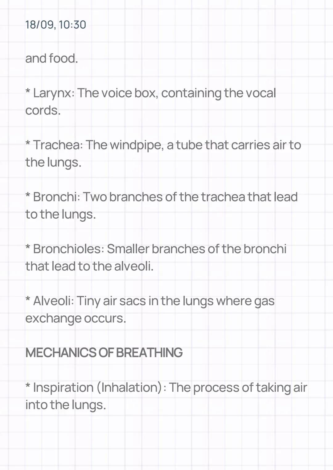 18/09, 10:30
RESPIRATORY SYSTEM
INTRODUCTION
* The respiratory system is responsible for the
exchange of gases between the body and the
envi