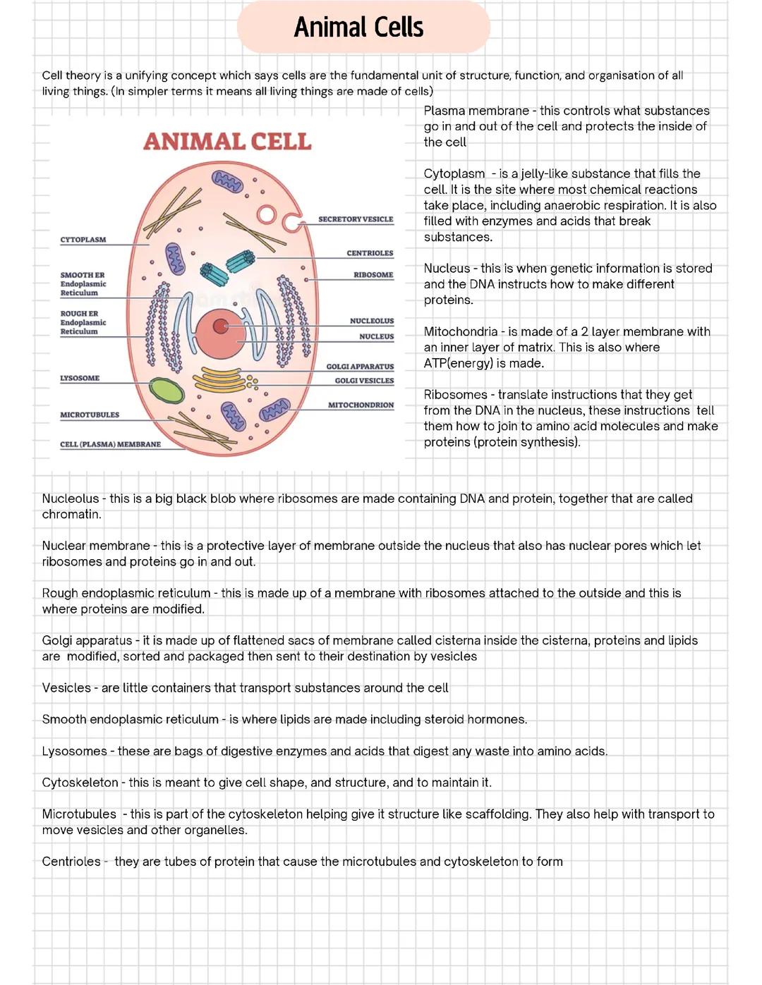 Animal and Plant Cell Structure