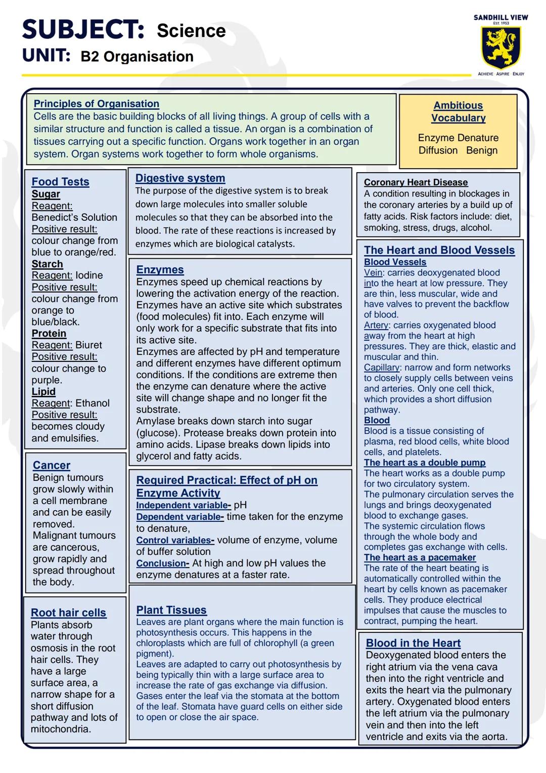SUBJECT: Science
UNIT: B2 Organisation
SANDHILL VIEW
EST. 1953
ACHIEVE ASPIRE ENJOY
Principles of Organisation
Cells are the basic building