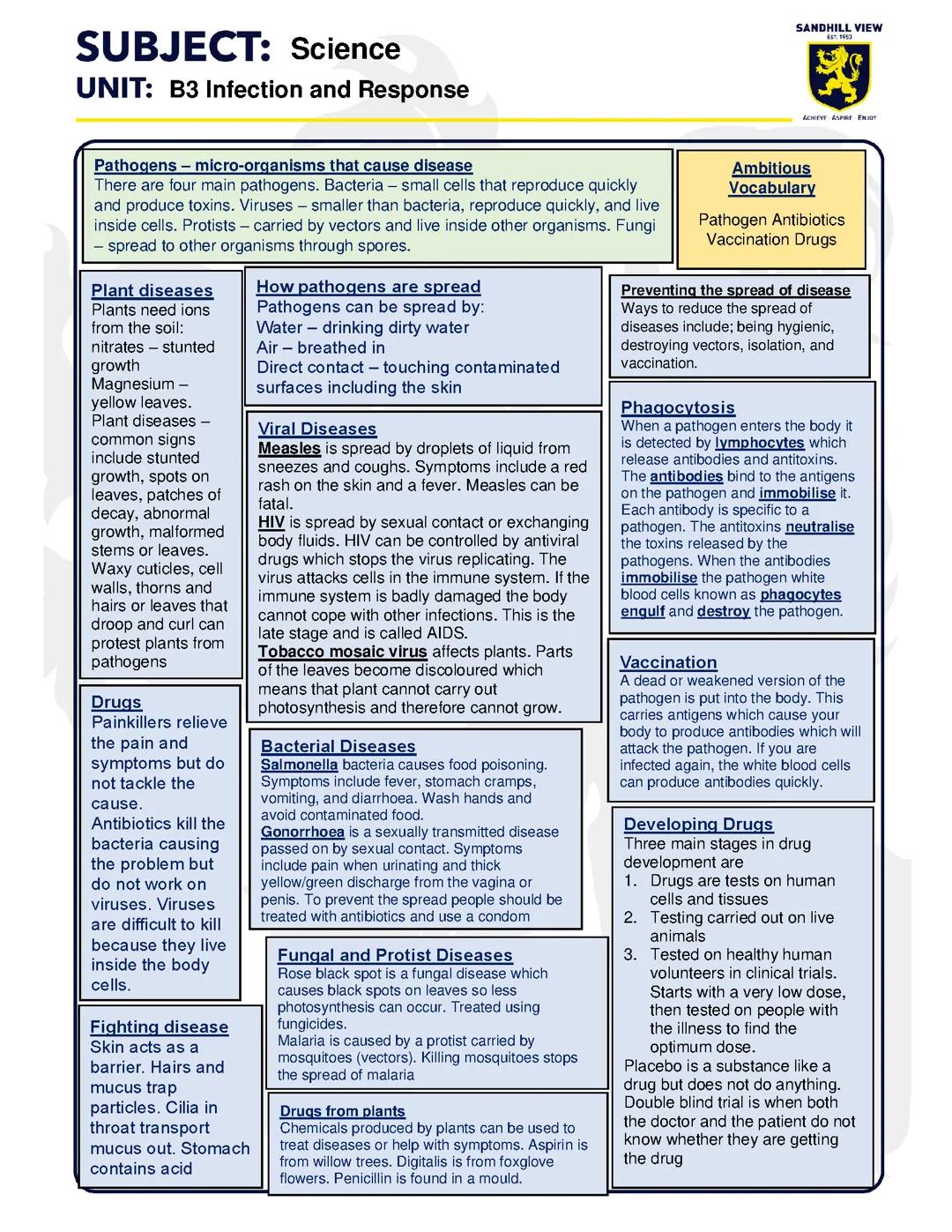 B3 infection and response