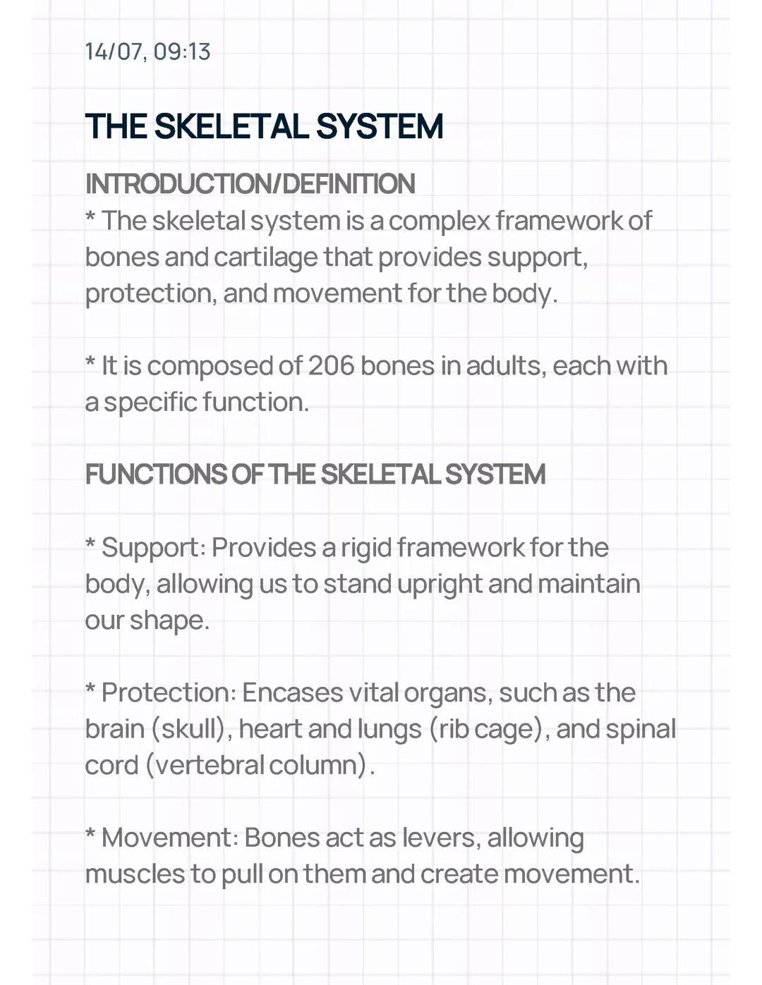 The Skeletal System