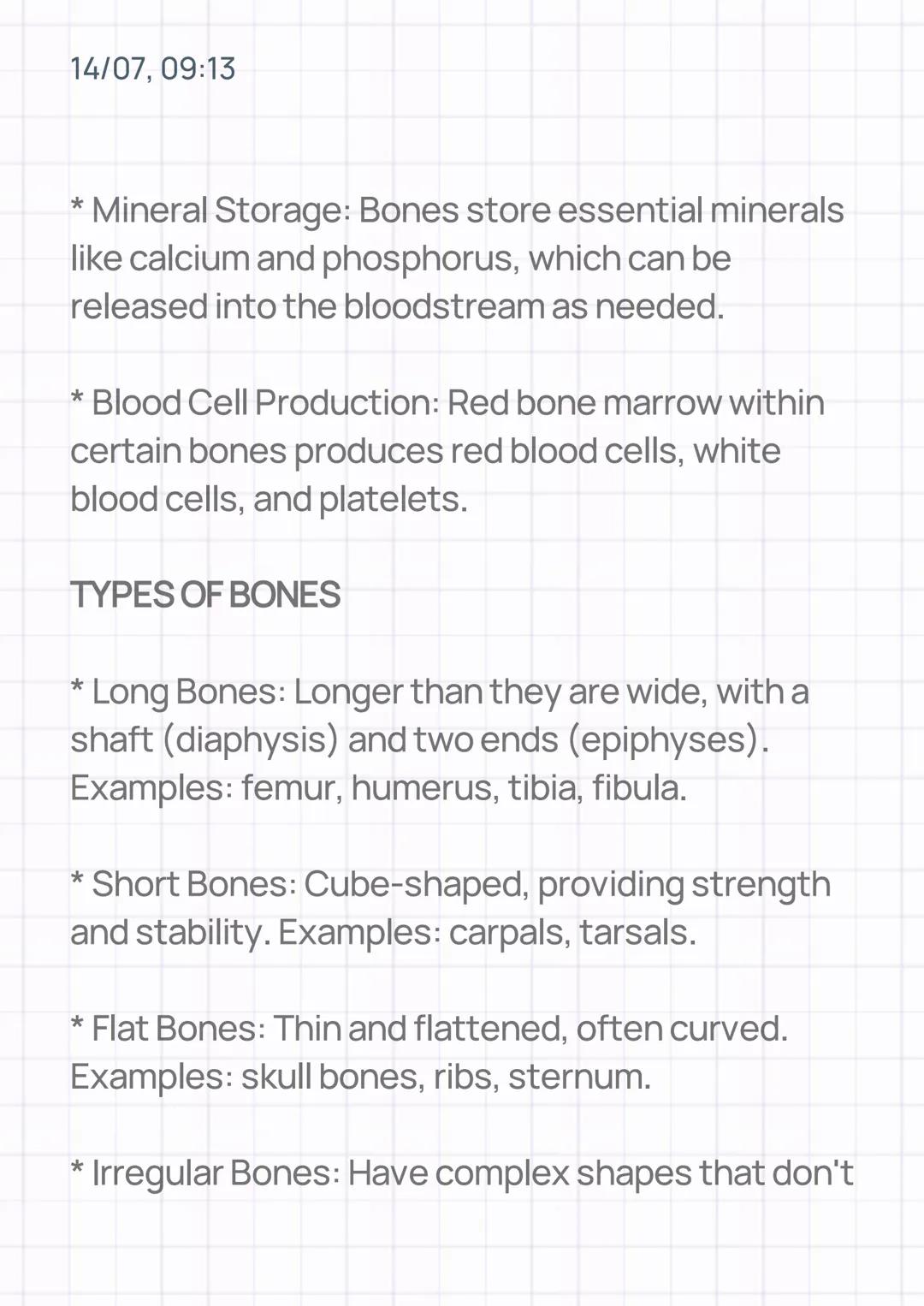 14/07, 09:13
THE SKELETAL SYSTEM
INTRODUCTION/DEFINITION
* The skeletal system is a complex framework of
bones and cartilage that provides s