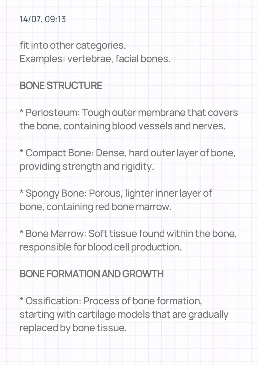 14/07, 09:13
THE SKELETAL SYSTEM
INTRODUCTION/DEFINITION
* The skeletal system is a complex framework of
bones and cartilage that provides s