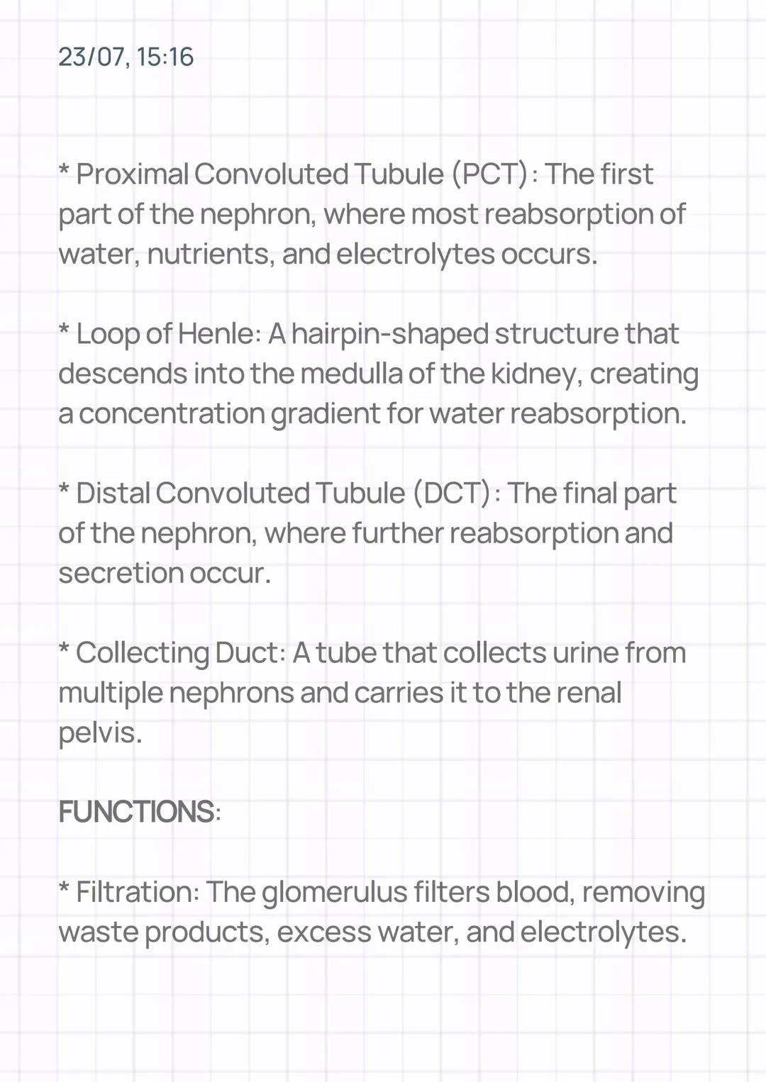 23/07, 15:16
THE KIDNEY
INTRODUCTION:
The kidneys are bean-shaped organs located in
the back of the abdominal cavity, one on each
side of th